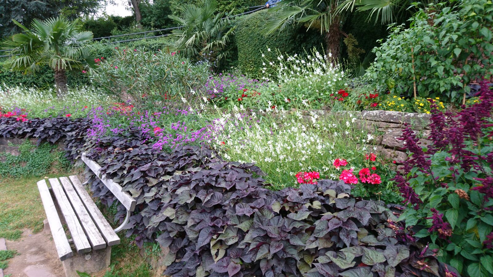 Sony Xperia X sample photo. Bench, colorful, flowers, nature photography