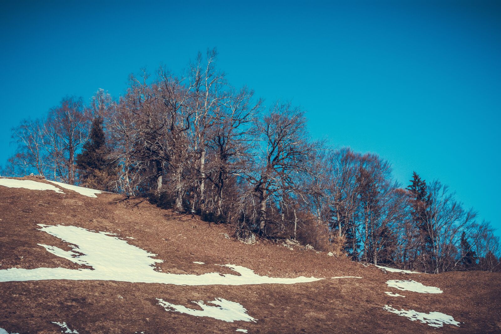 Nikon D7100 sample photo. Landscape, spring, meadow photography