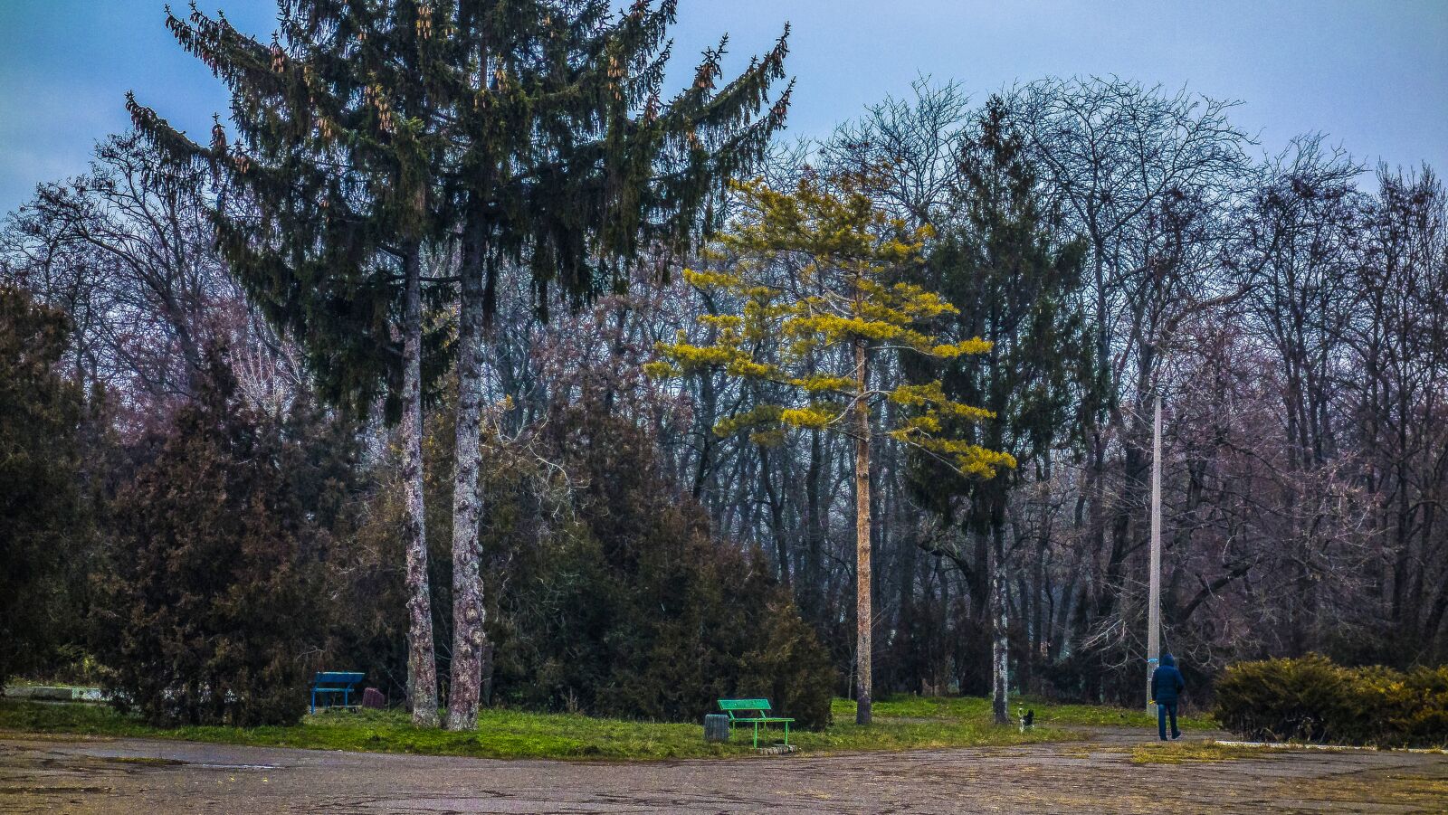 Sony Cyber-shot DSC-RX100 sample photo. Park, duke, odessa photography