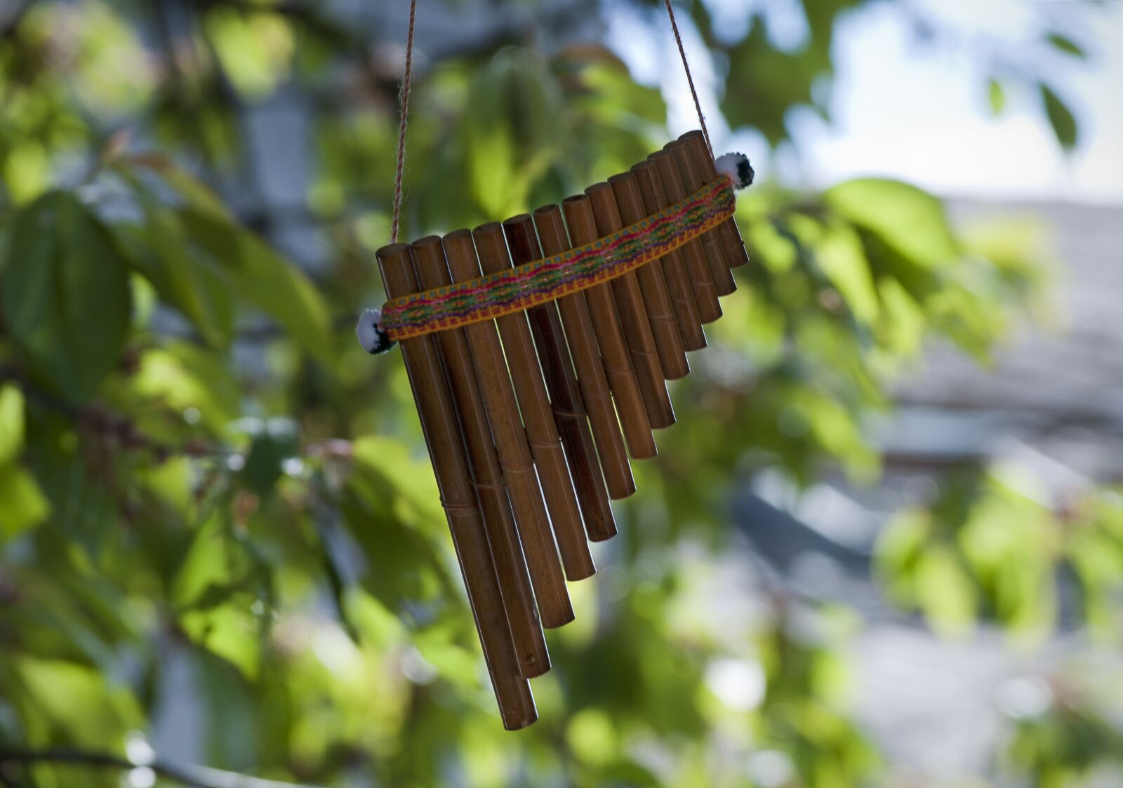 Nikon D5000 sample photo. Pan flute, musical instrument photography
