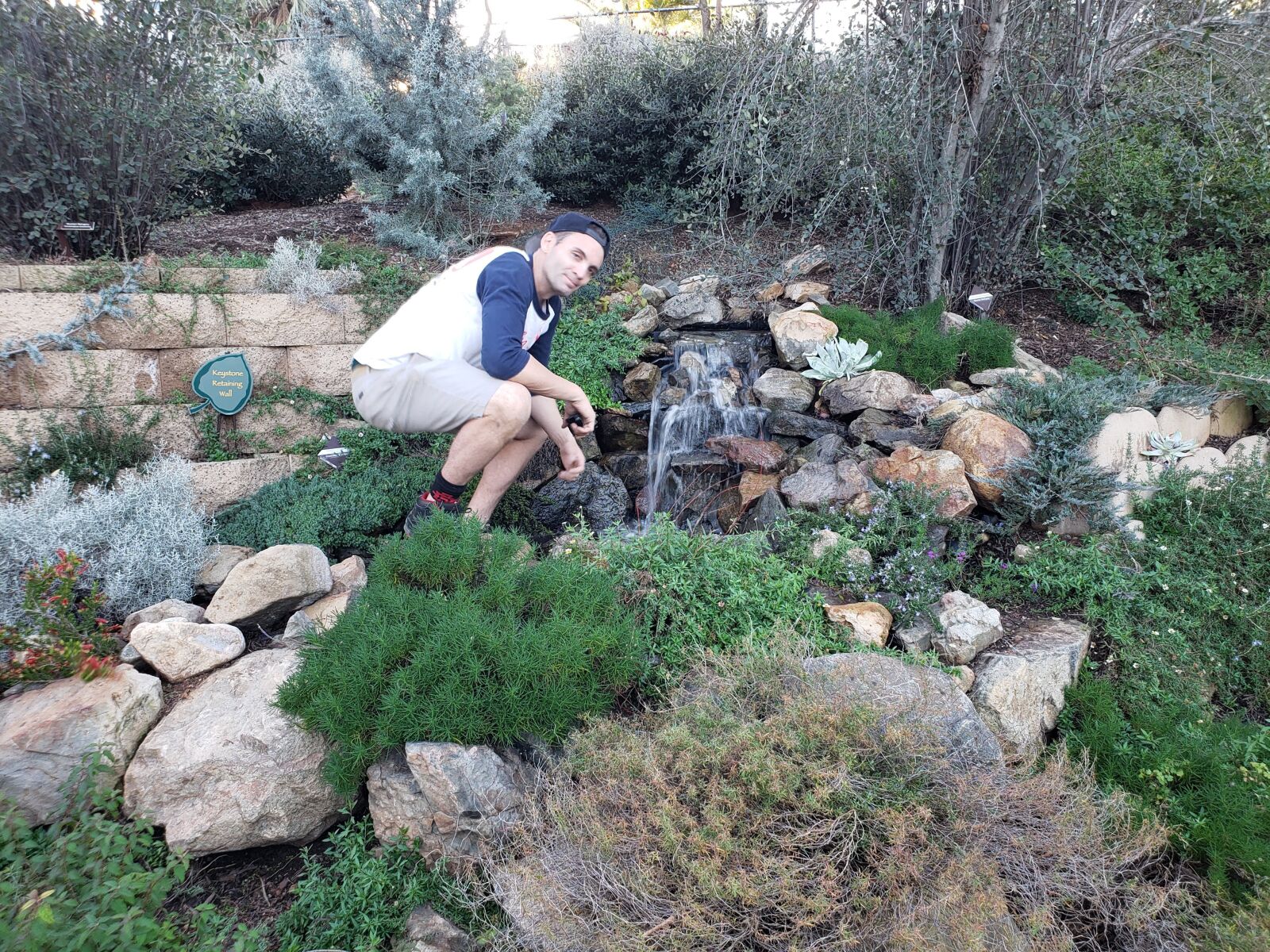 Samsung Galaxy S9 sample photo. Garden, mini waterfall, lush photography