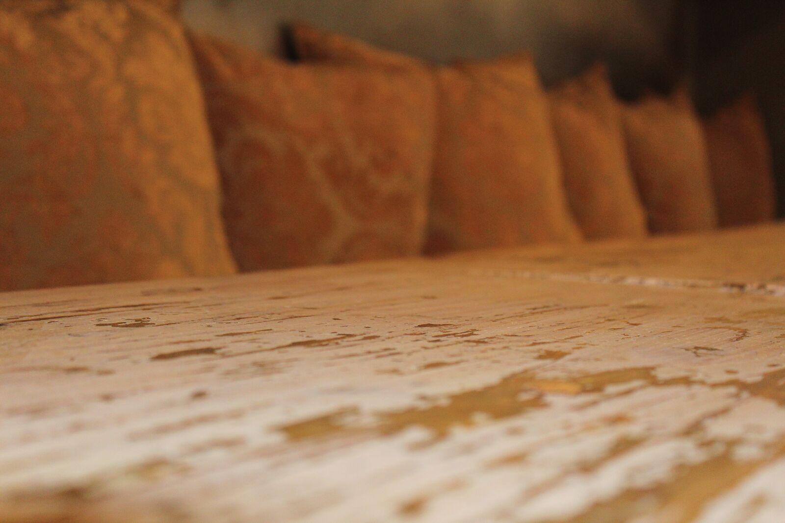 Canon EOS 1300D (EOS Rebel T6 / EOS Kiss X80) sample photo. Tabletop, cushions, dinner photography