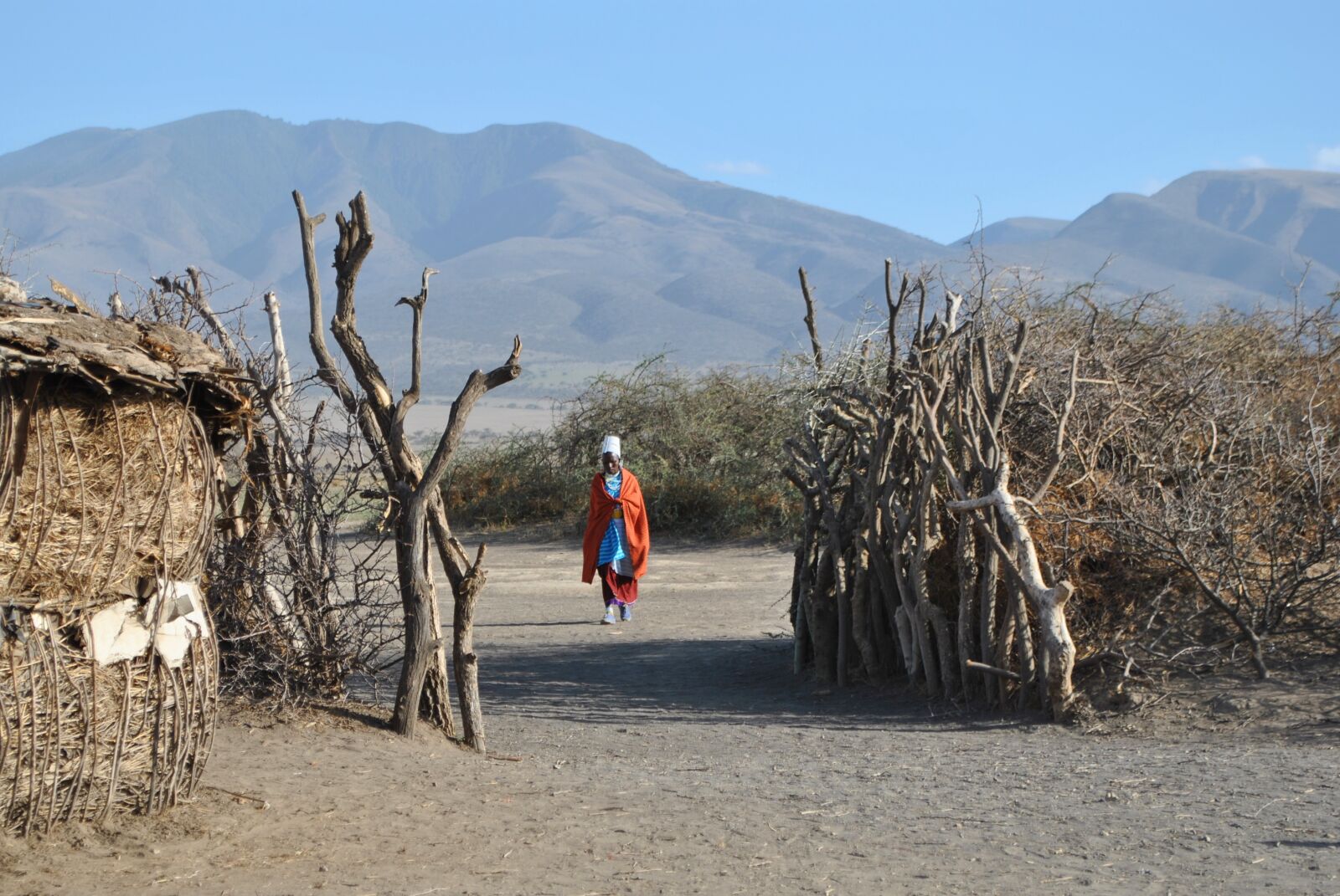 Nikon D3000 sample photo. Africa, tanzania, serengeti photography