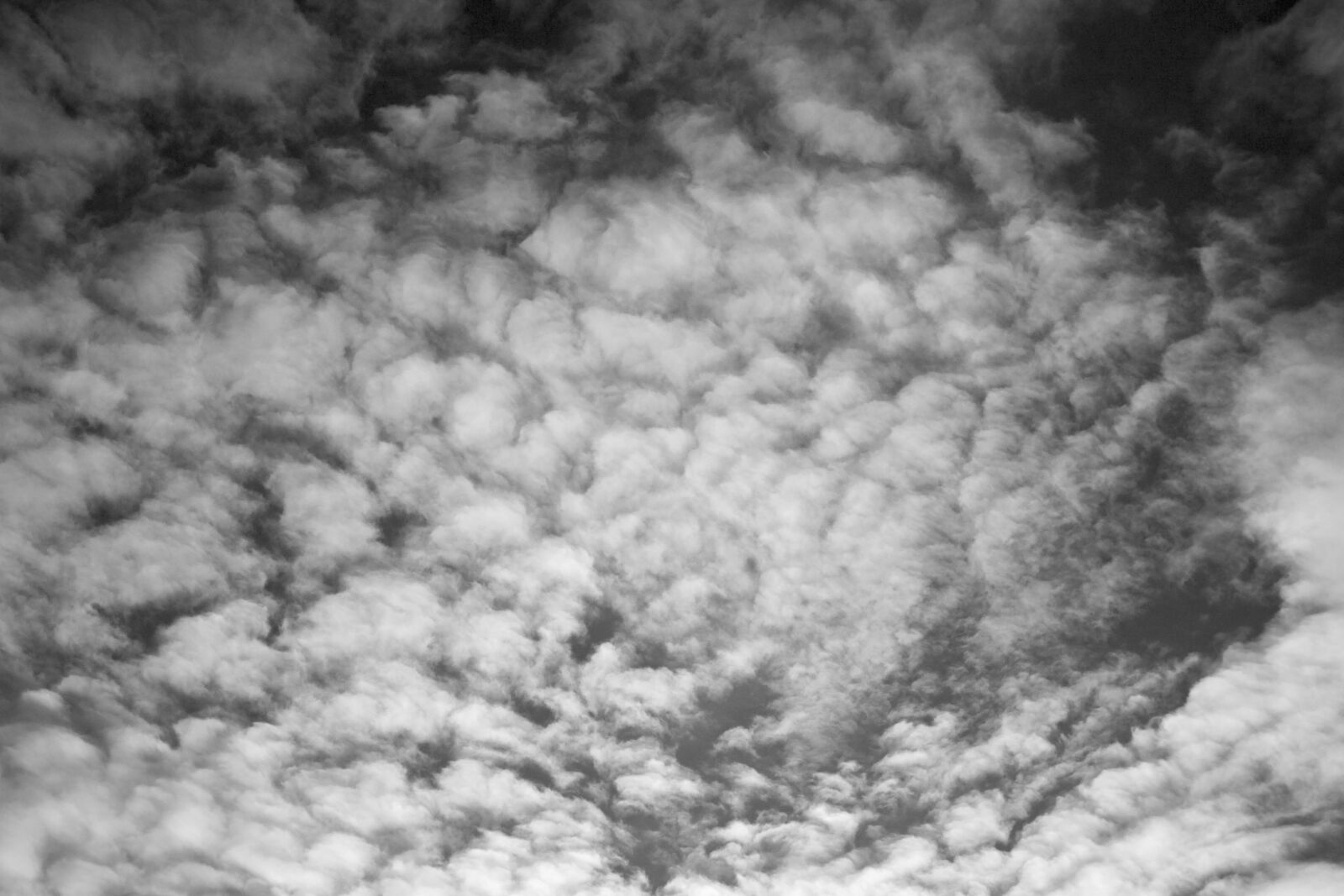 Canon EOS-1D Mark II sample photo. Clouds, cloud, sky photography
