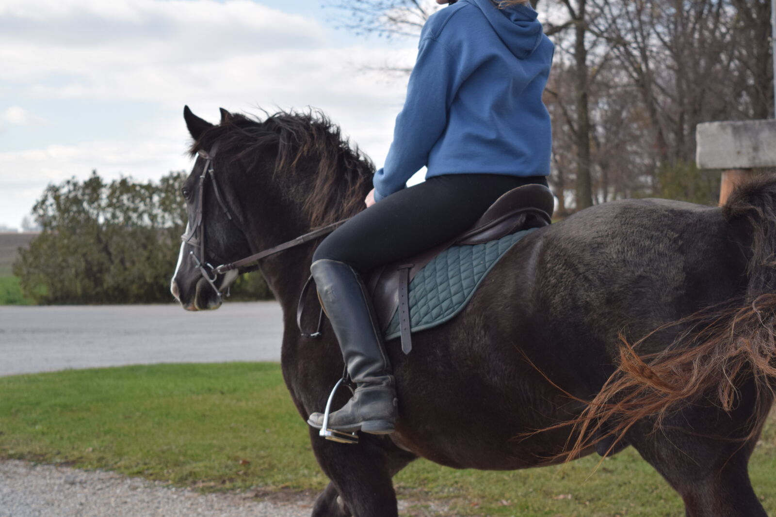 Nikon D3300 sample photo