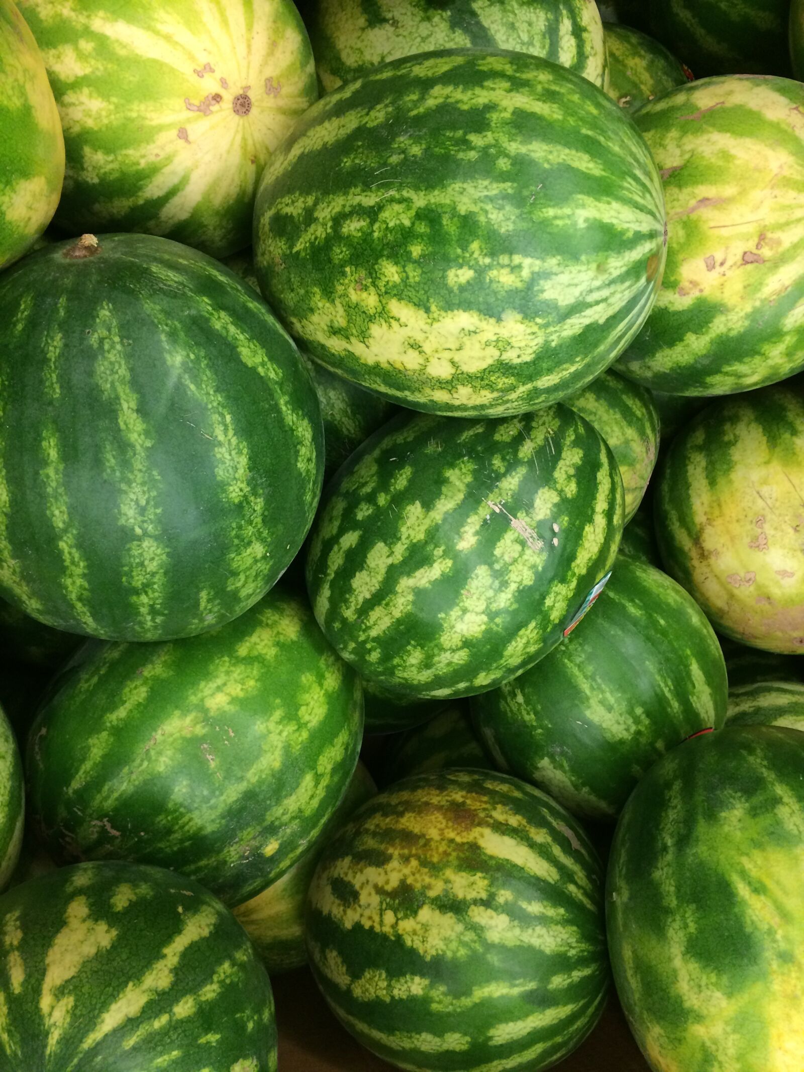 Apple iPhone 5s sample photo. Theme, summer photography