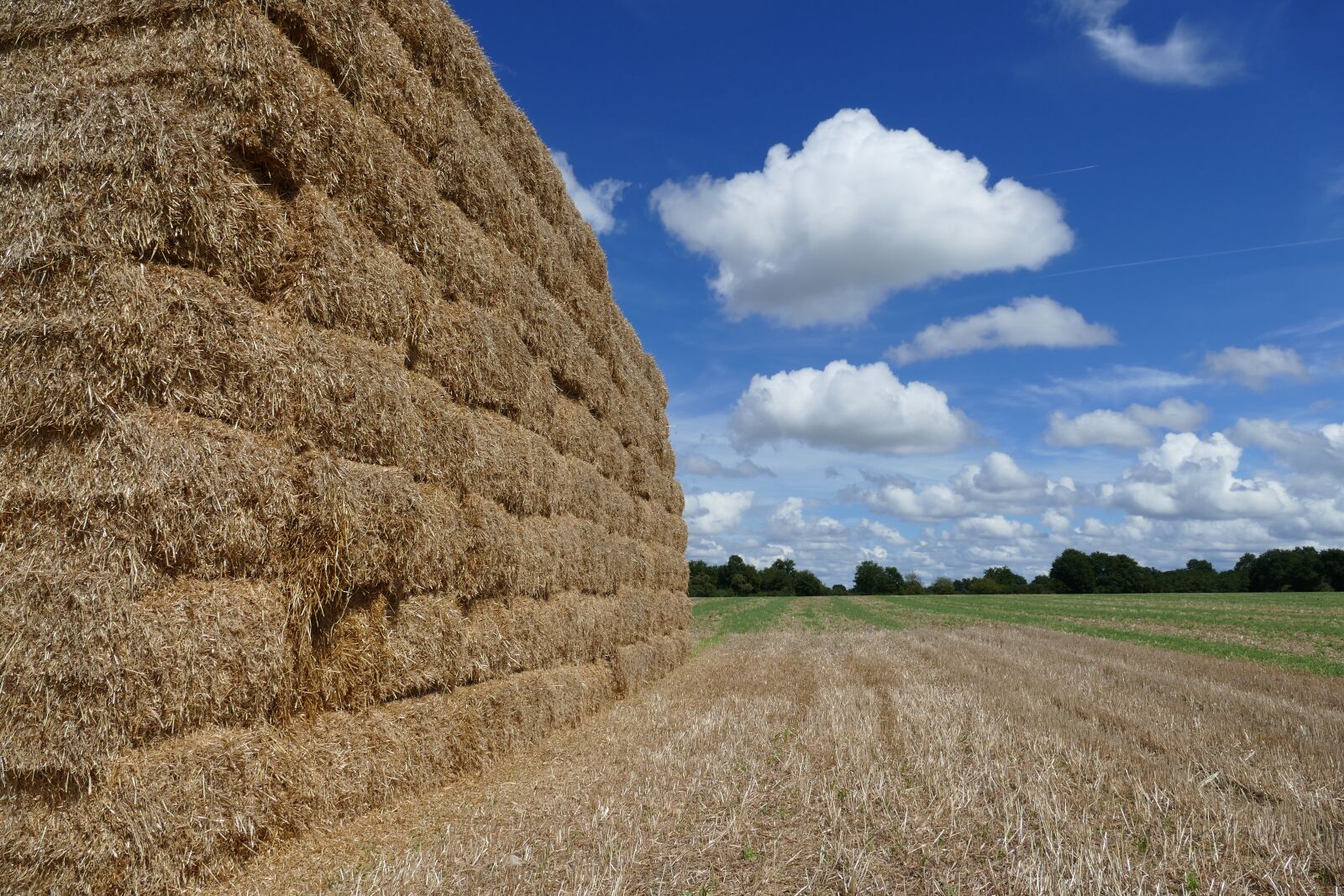 Panasonic Lumix DMC-FZ1000 sample photo. Hay, hay bale, straw photography
