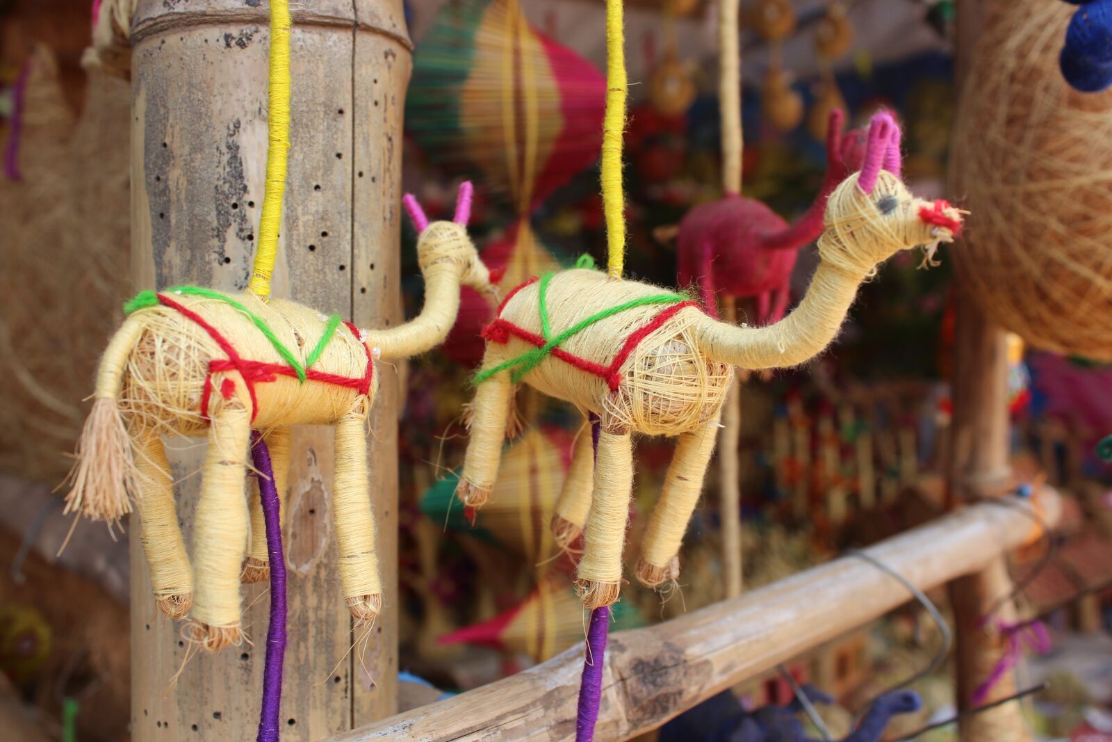 Canon EOS 700D (EOS Rebel T5i / EOS Kiss X7i) sample photo. Deer, konark, puri photography