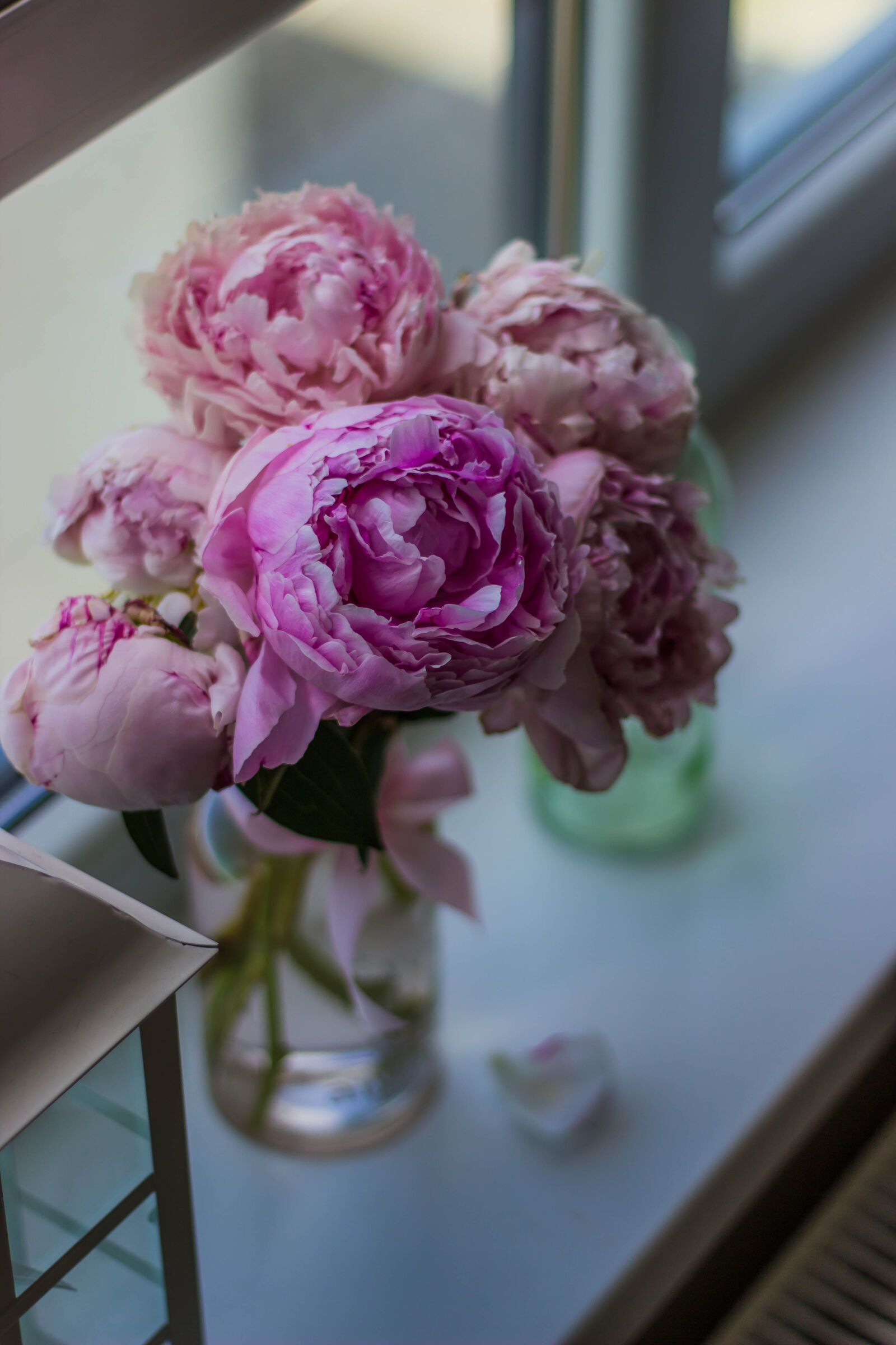 Canon EOS 600D (Rebel EOS T3i / EOS Kiss X5) + Canon EF 50mm F1.8 II sample photo. Bloom, blooming, blossom, blur photography
