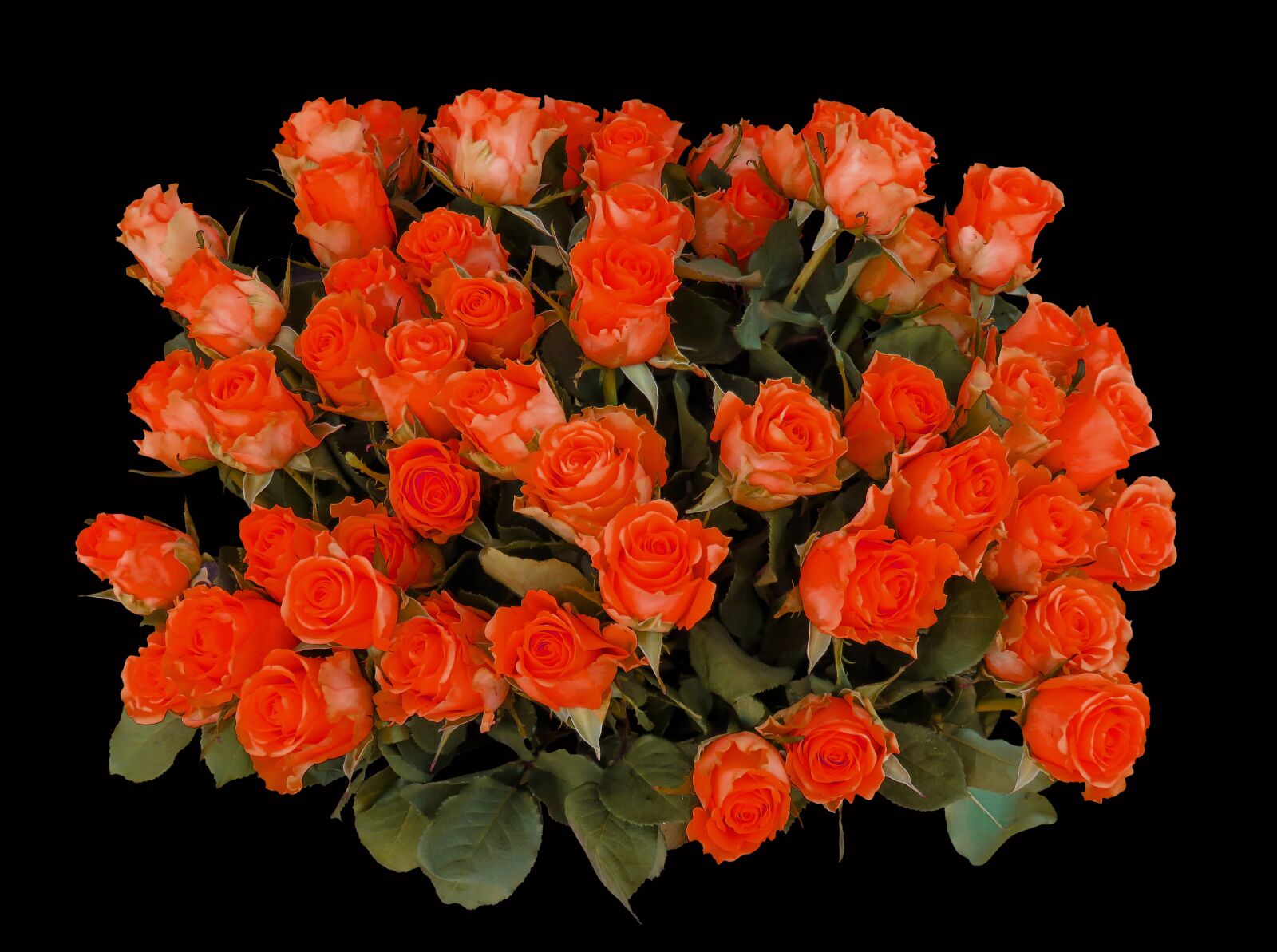 Canon PowerShot SX710 HS sample photo. Bouquet, birthday bouquet, flowers photography