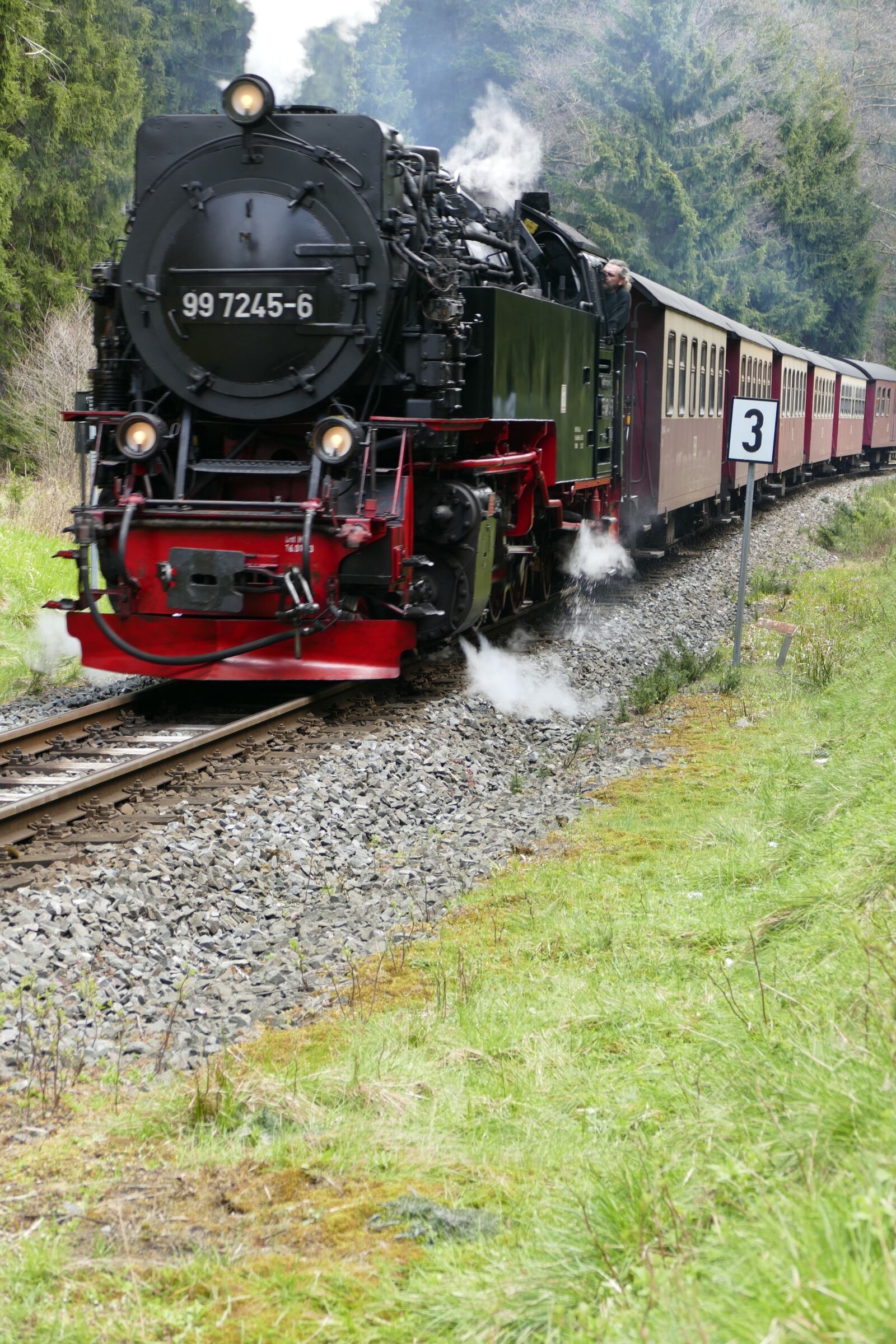 Panasonic Lumix DMC-FZ1000 sample photo. Narrow gauge, harzquerbahn, nature photography