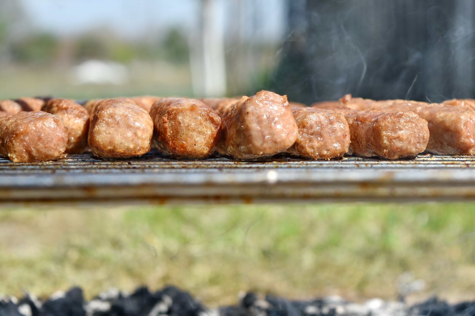 Nikon D5500 sample photo. Barbecue, charcoal, picnic, meal photography