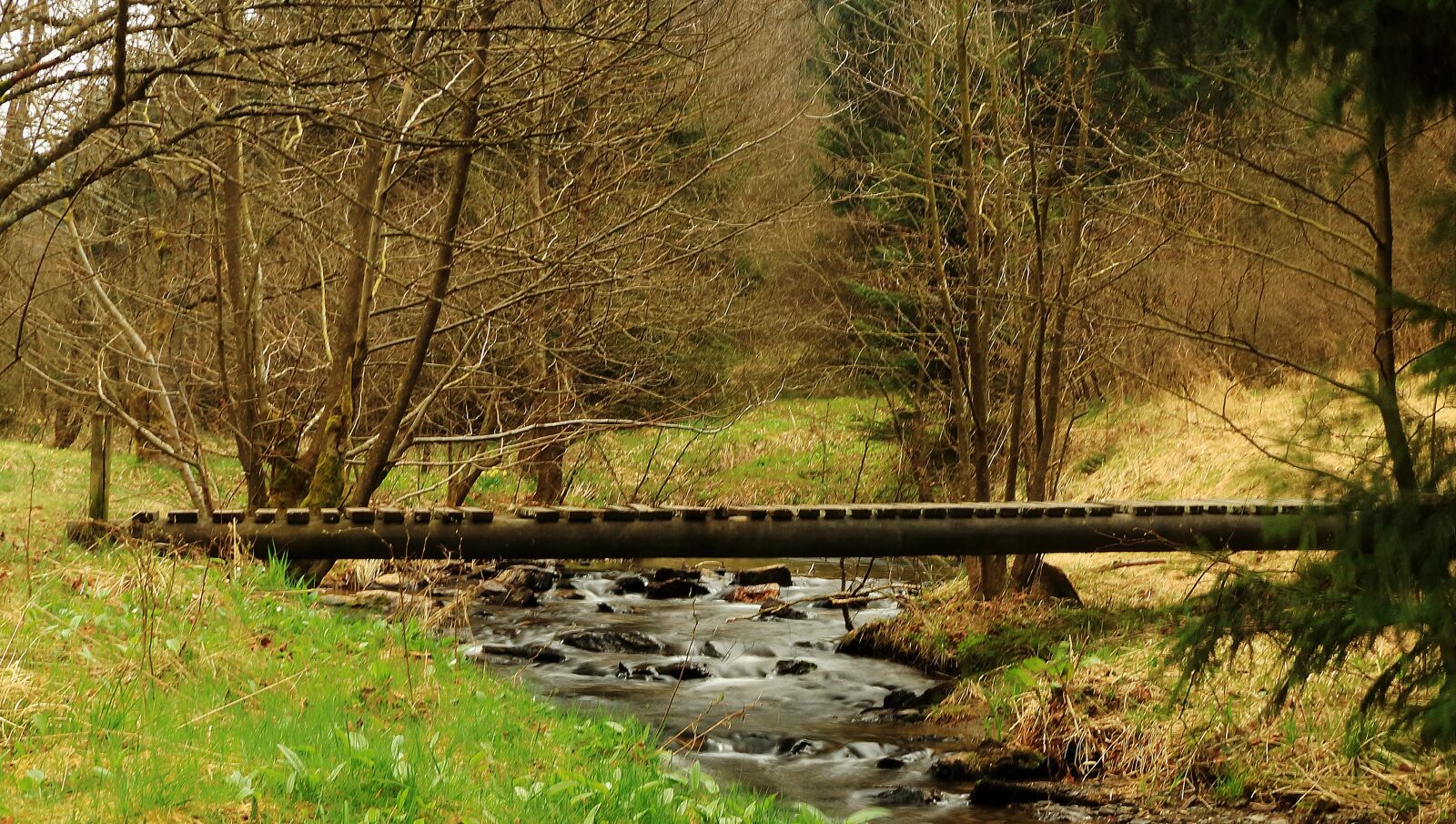 Canon EOS 80D sample photo. Eifel, pearl valley, nature photography