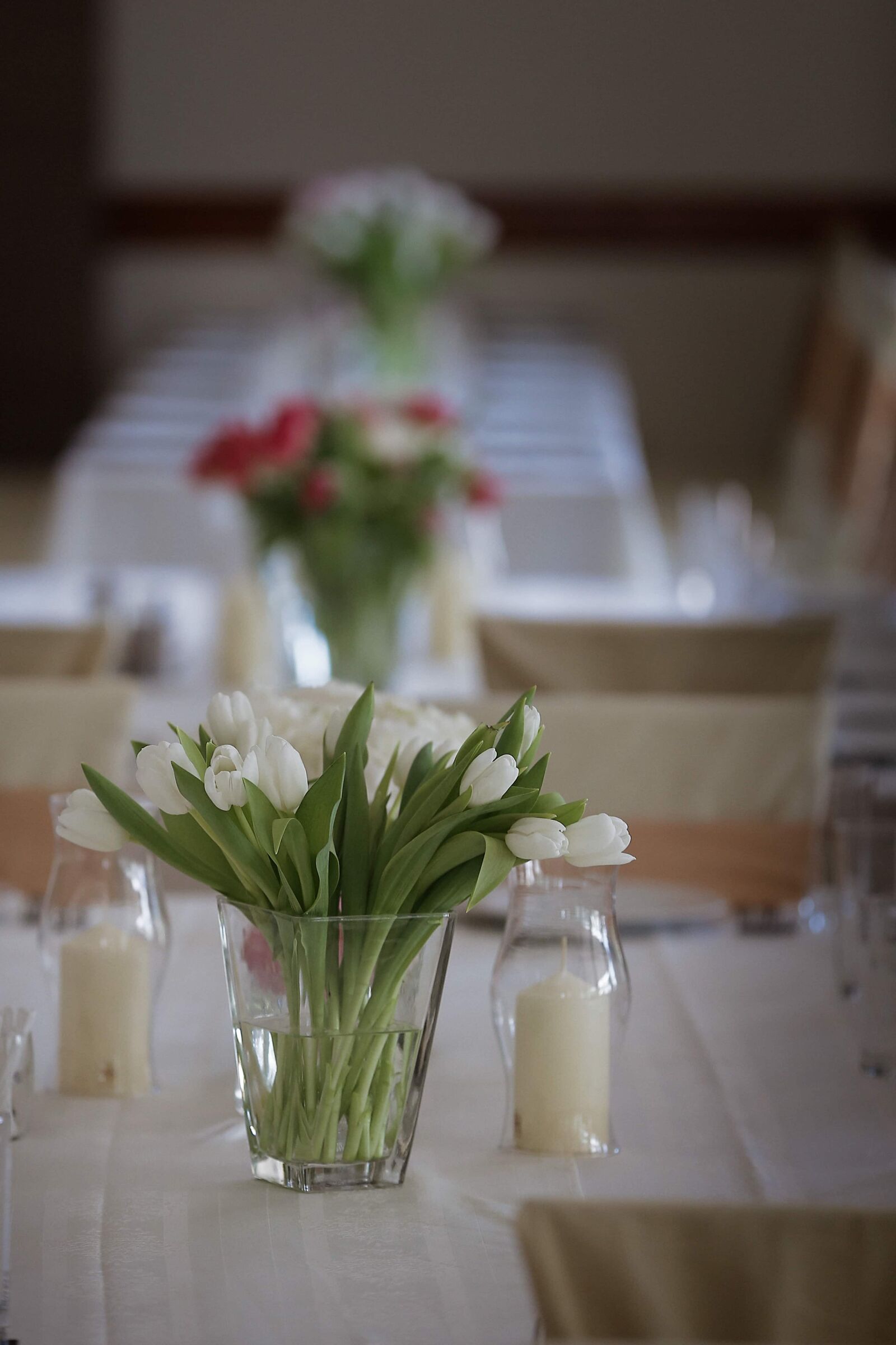 Canon EOS 6D sample photo. Tulips, white flower, candlestick photography
