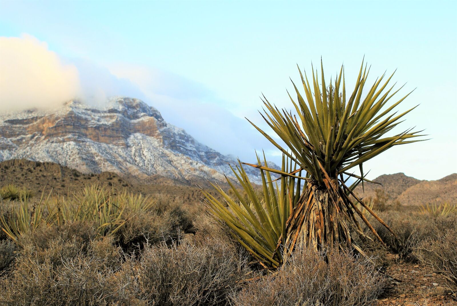 Sony Alpha DSLR-A100 sample photo. Red rock, mountains, panorama photography