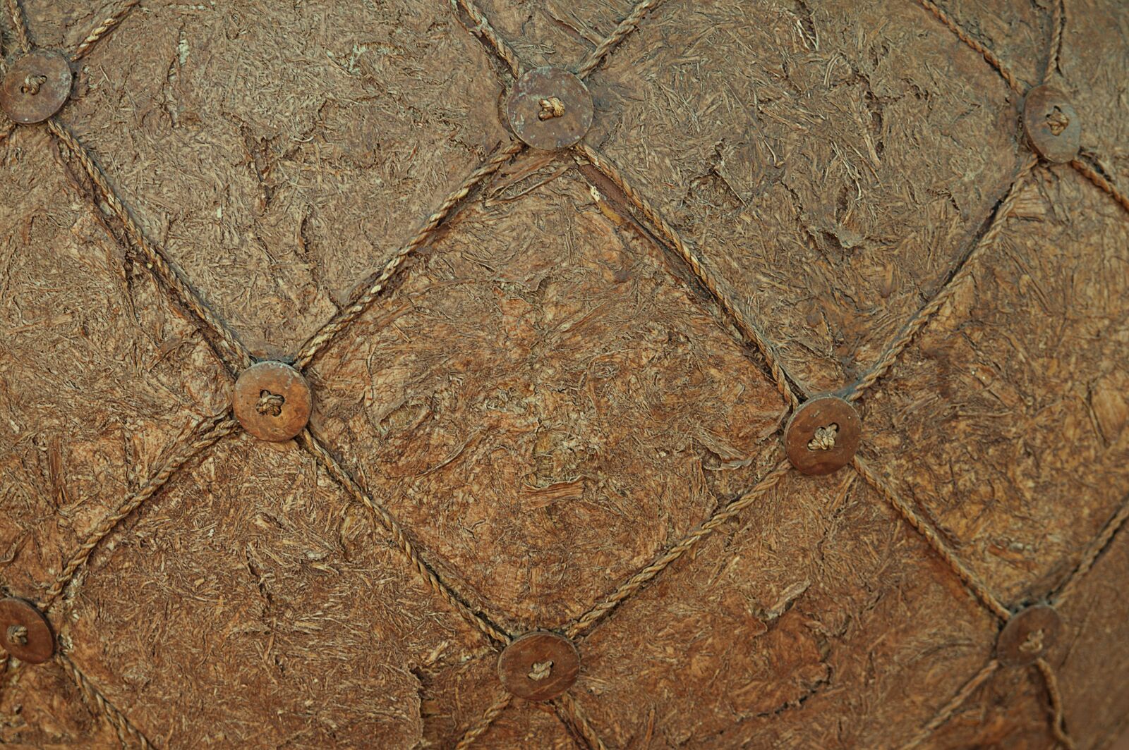 Nikon D3200 sample photo. Texture, plant texture, rustic photography