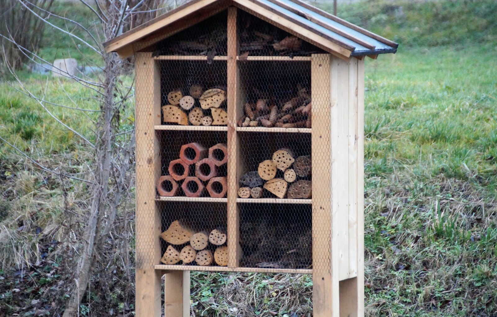 Sony SLT-A58 sample photo. A house for insects photography