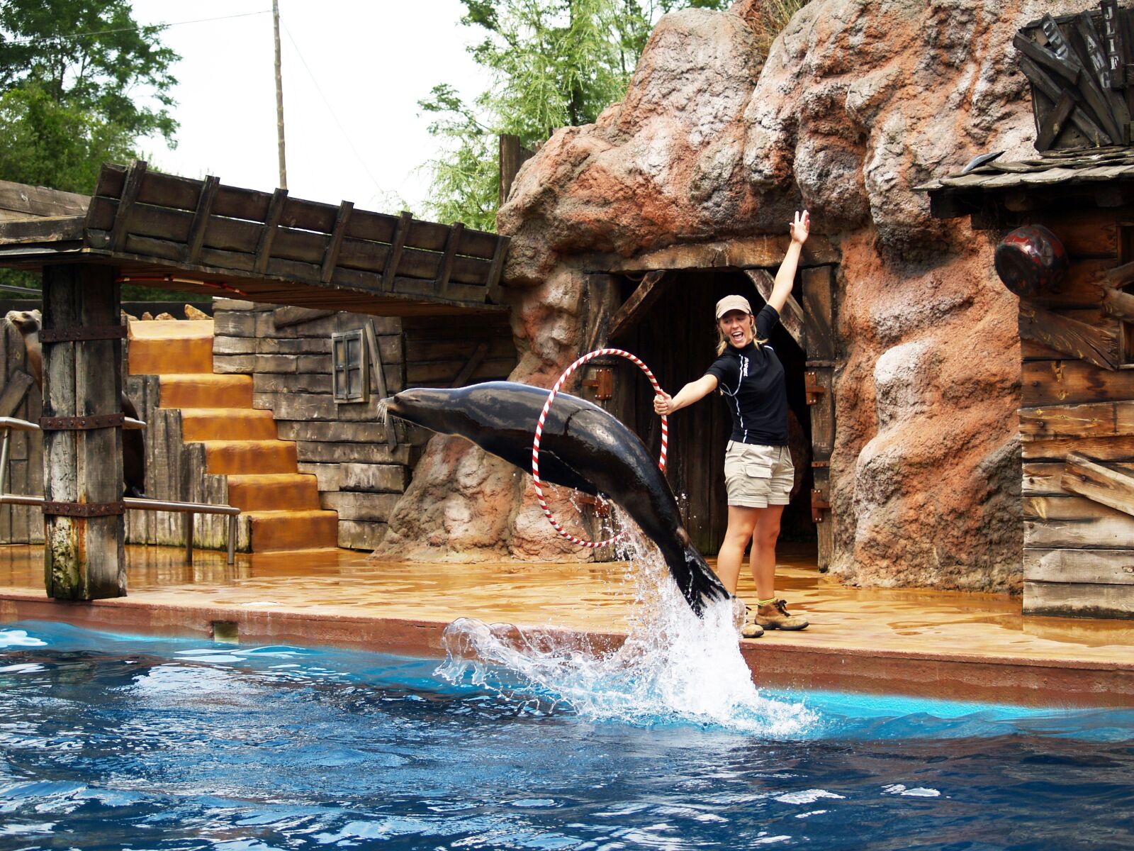 Olympus E-500 (EVOLT E-500) sample photo. Seal, acrobatics, water park photography