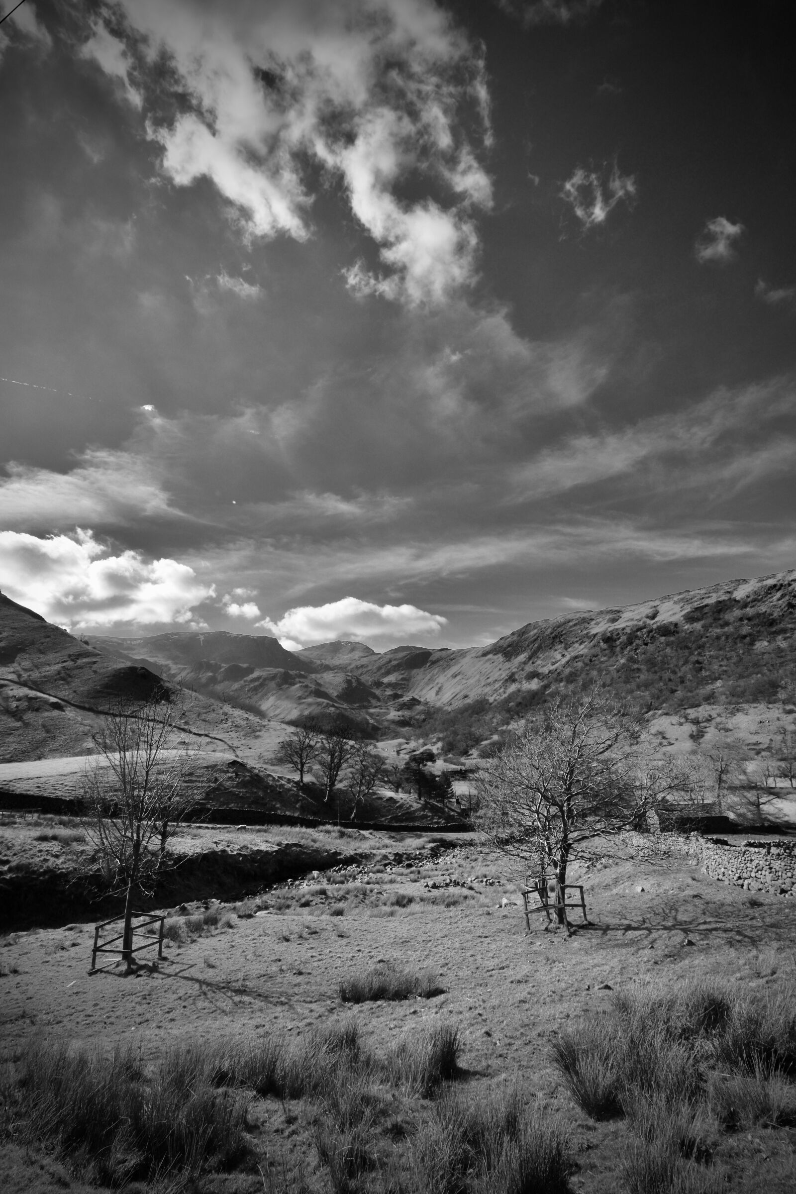 Nikon D5600 sample photo. Lake district, england, black photography