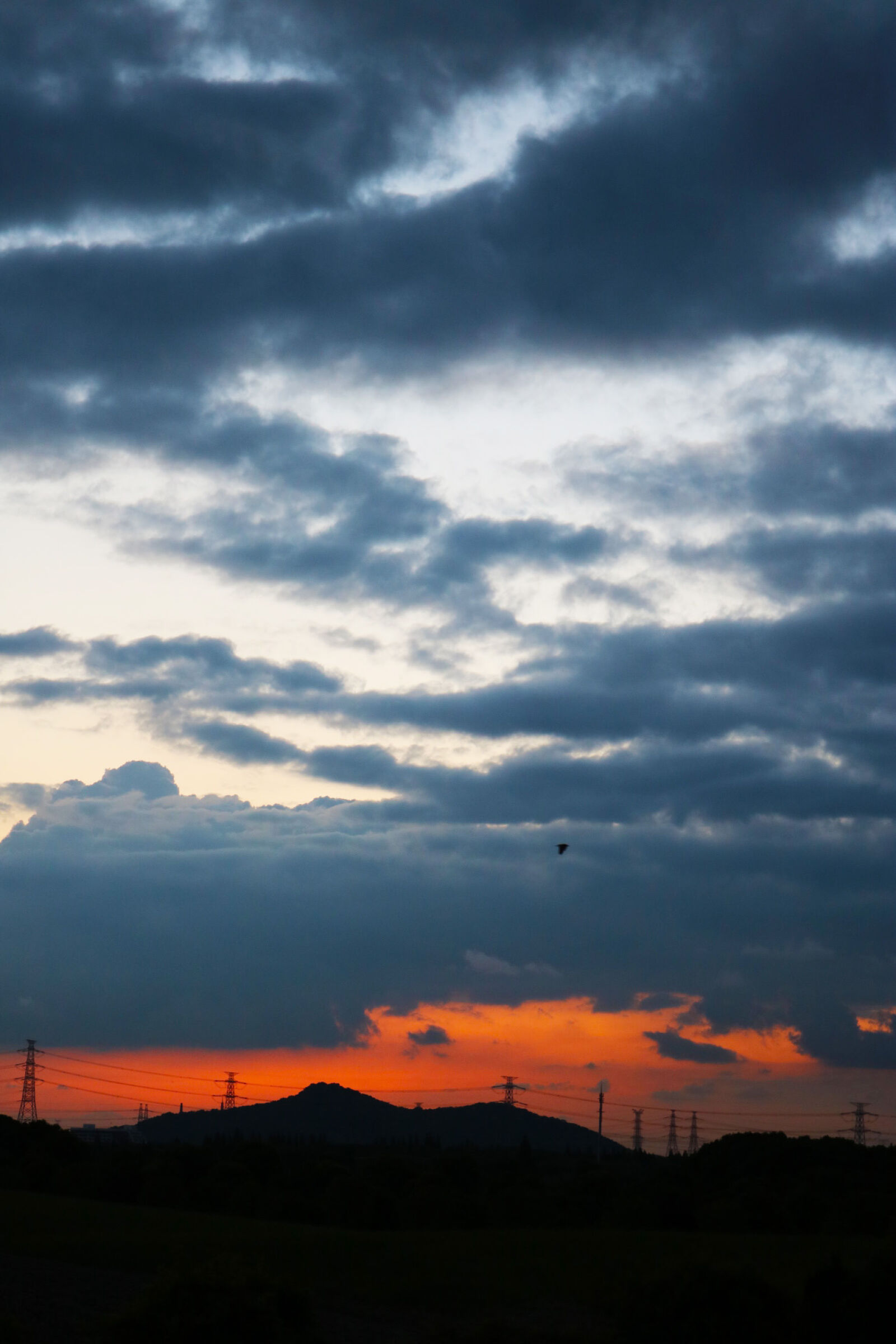 Canon EOS 750D (EOS Rebel T6i / EOS Kiss X8i) sample photo