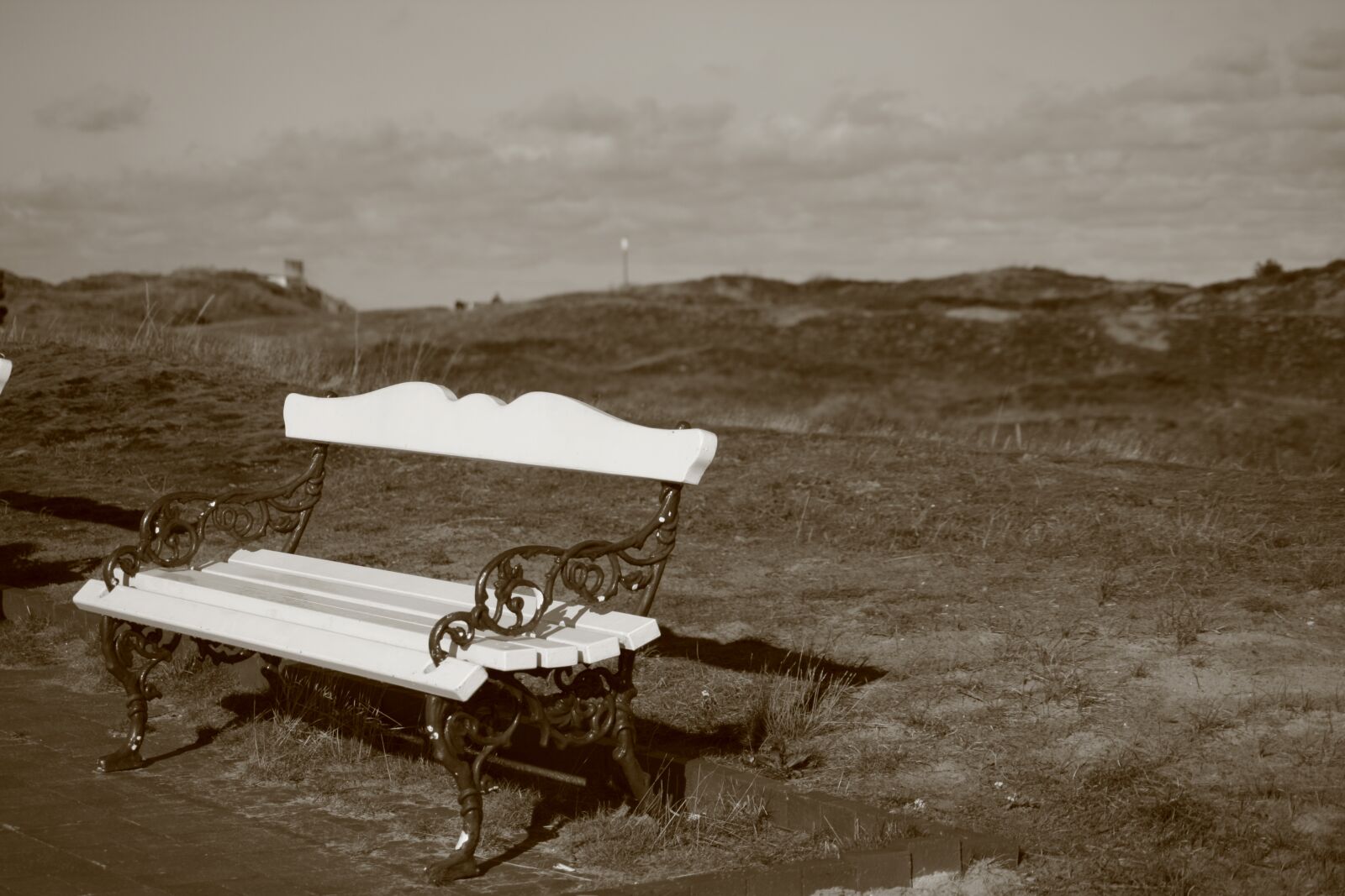 Canon EOS 400D (EOS Digital Rebel XTi / EOS Kiss Digital X) sample photo. Bench, dune, rest photography