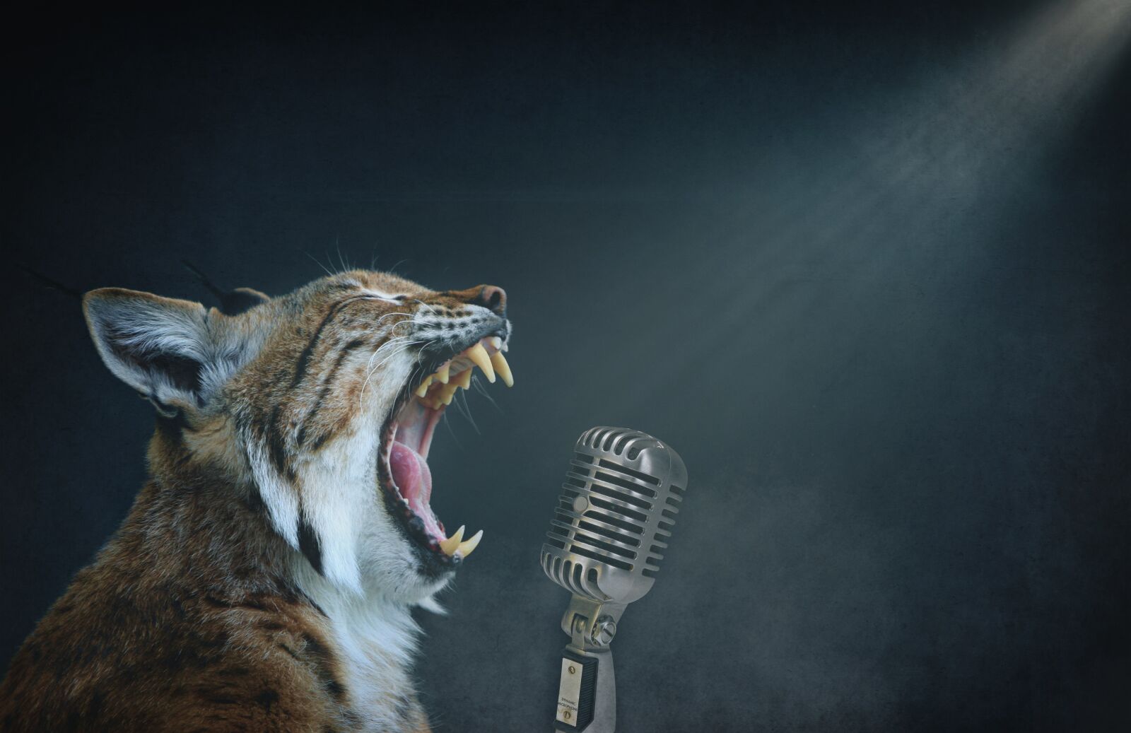 Canon EOS 40D sample photo. Rock star, singer, singing photography
