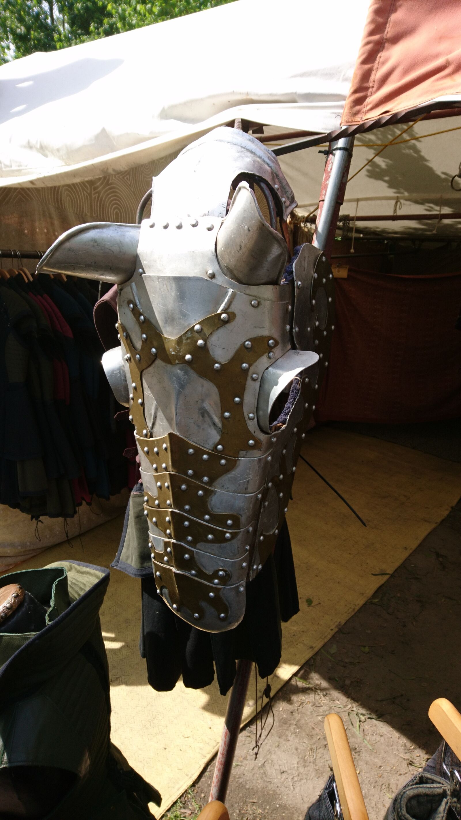 Sony Xperia X Compact sample photo. Armor horse, rosstirn, horse photography