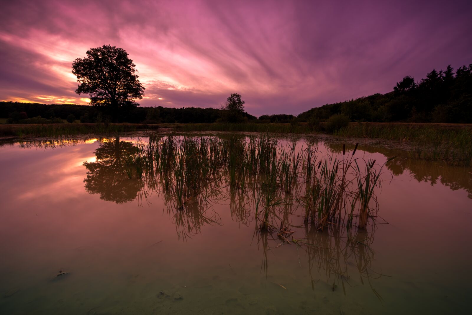 Nikon D5300 sample photo. Sunset, sky, dusk photography