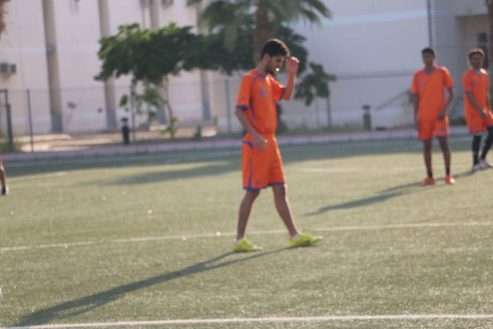 Canon EOS 70D sample photo