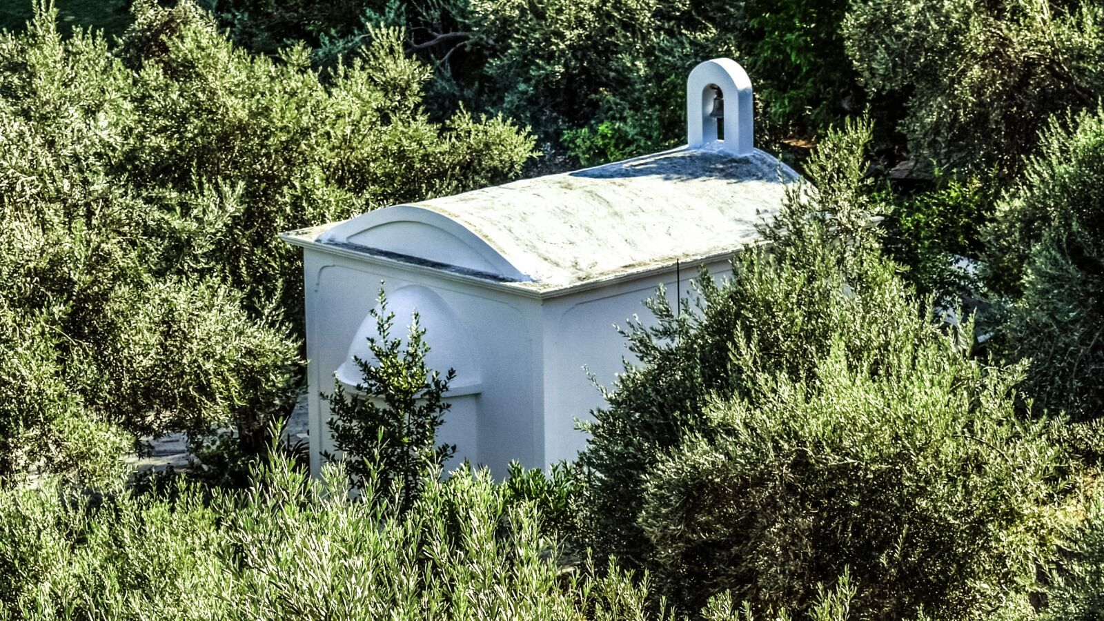 Nikon D3300 sample photo. Chapel, olive tree, religion photography