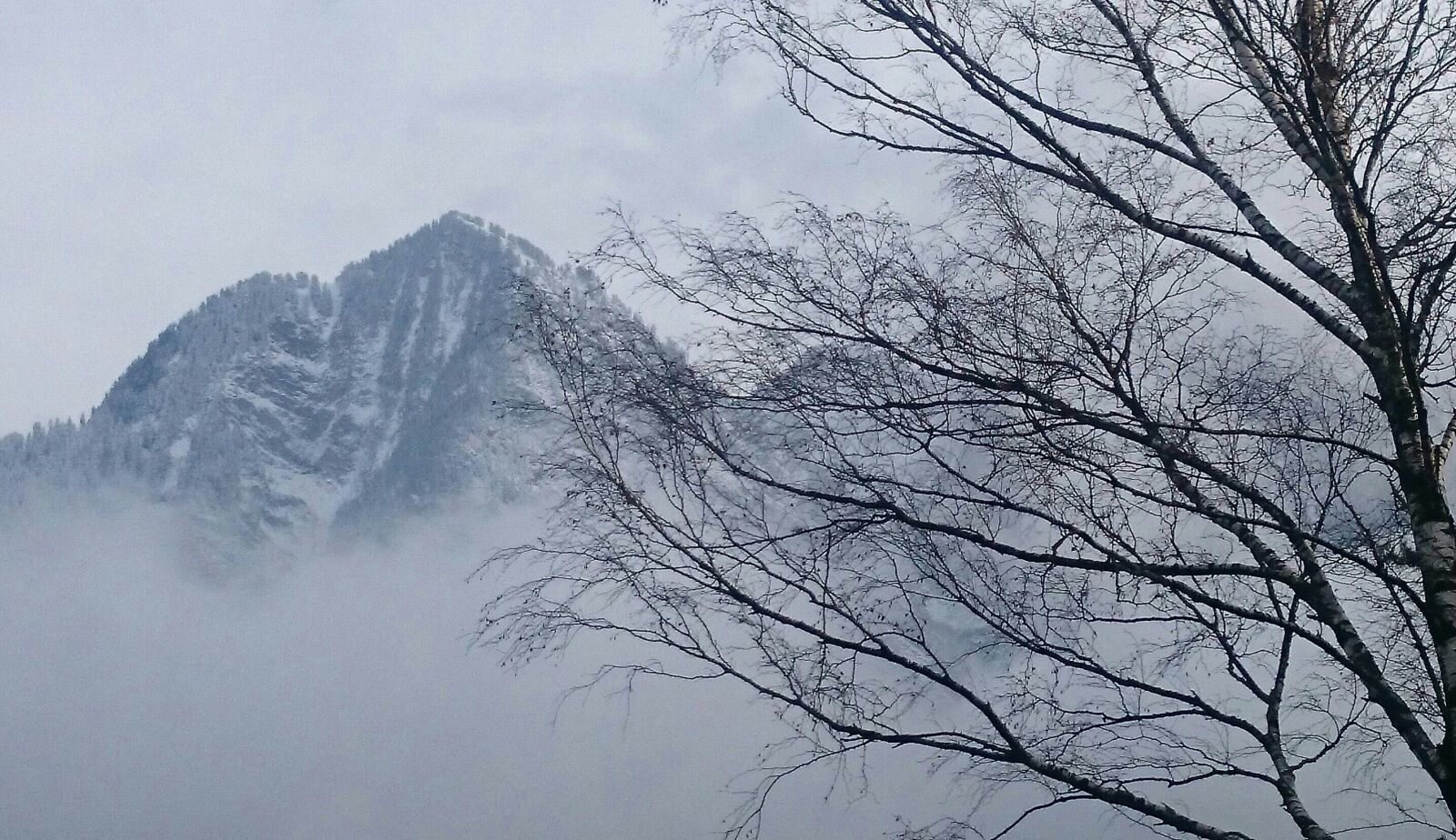 Sony Xperia Z1 Compact sample photo. Morning, the fog, winter photography