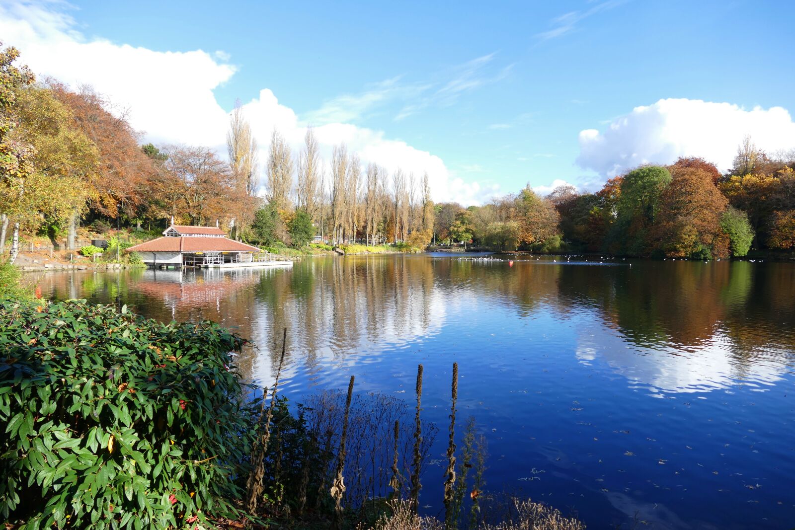 Panasonic Lumix DMC-FZ1000 sample photo. Walsall arboretum, walsall, lakes photography