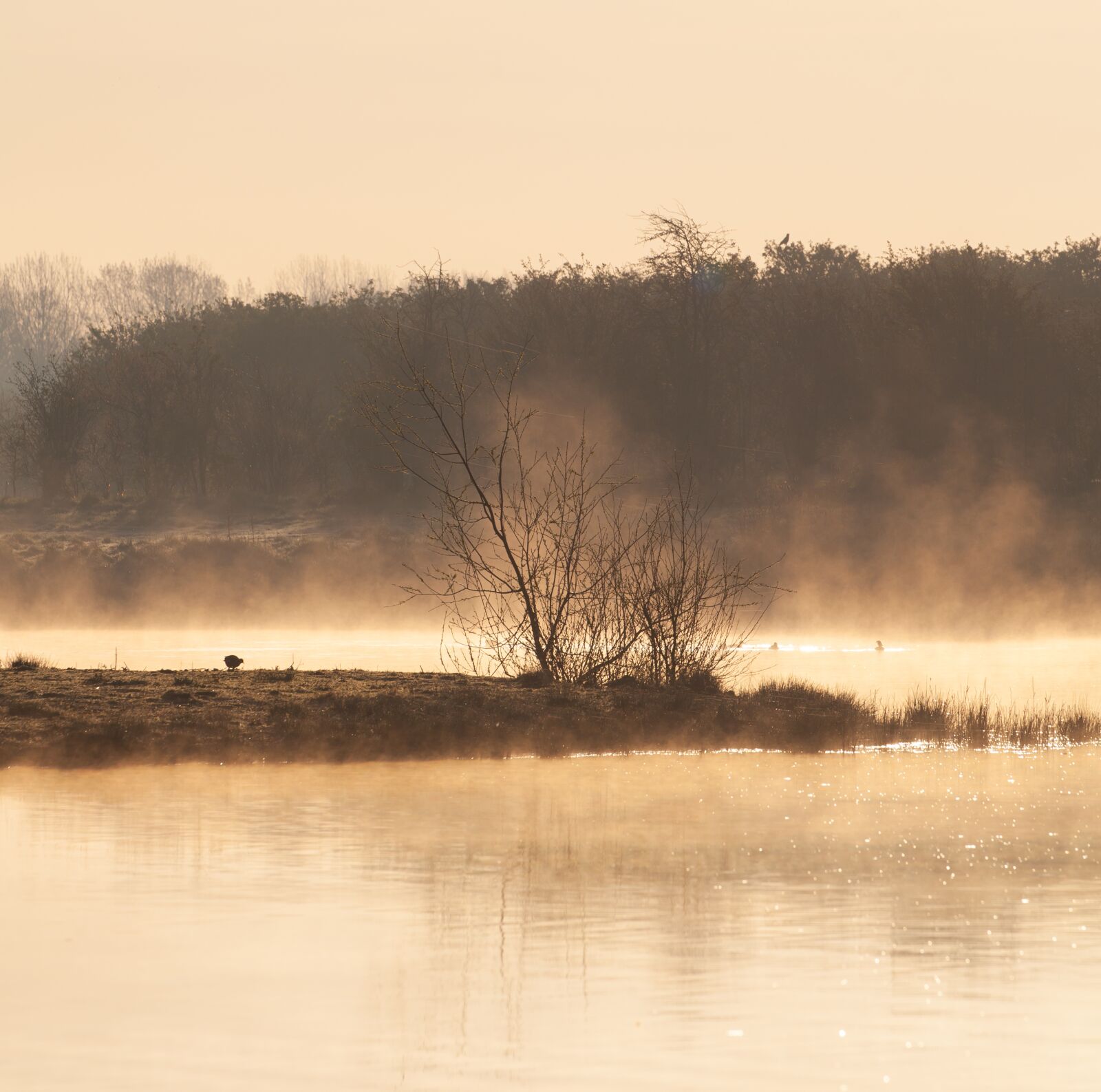 Canon EOS 5D Mark II sample photo. Misty, mist, fog photography