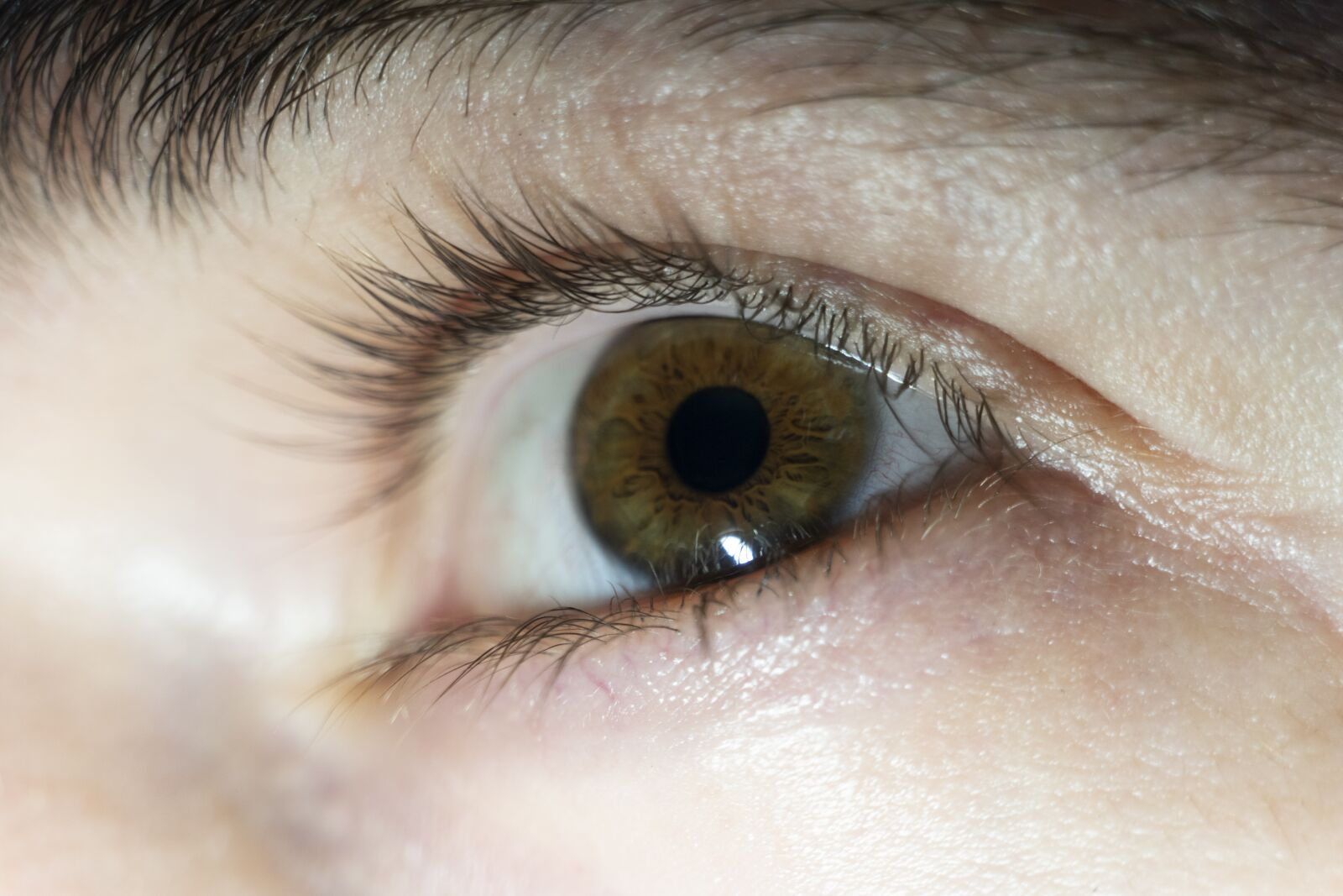 Sony a6300 sample photo. Eye, man, person photography