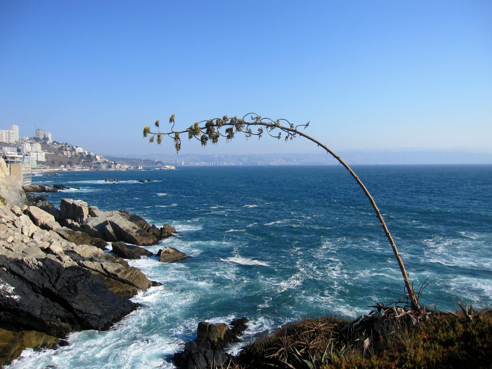 Canon PowerShot SD960 IS (Digital IXUS 110 IS / IXY Digital 510 IS) sample photo. Chile, coast, sea, southamerica photography