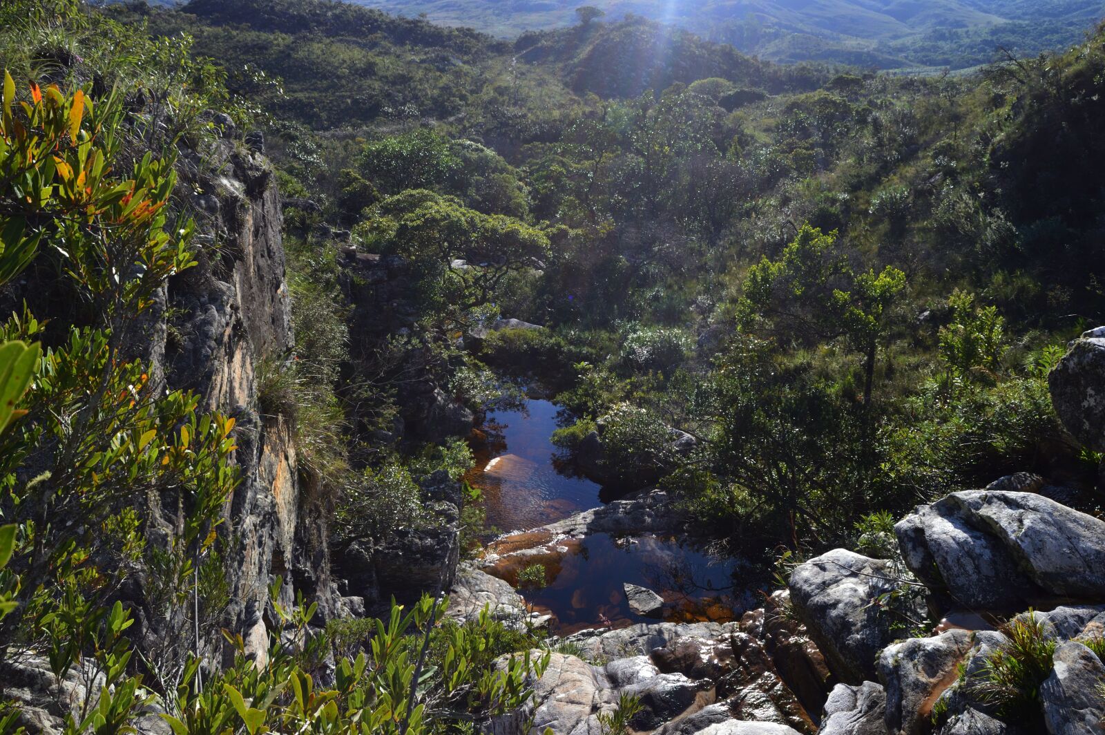 Nikon D3200 sample photo. Plant, brazil, mountain photography