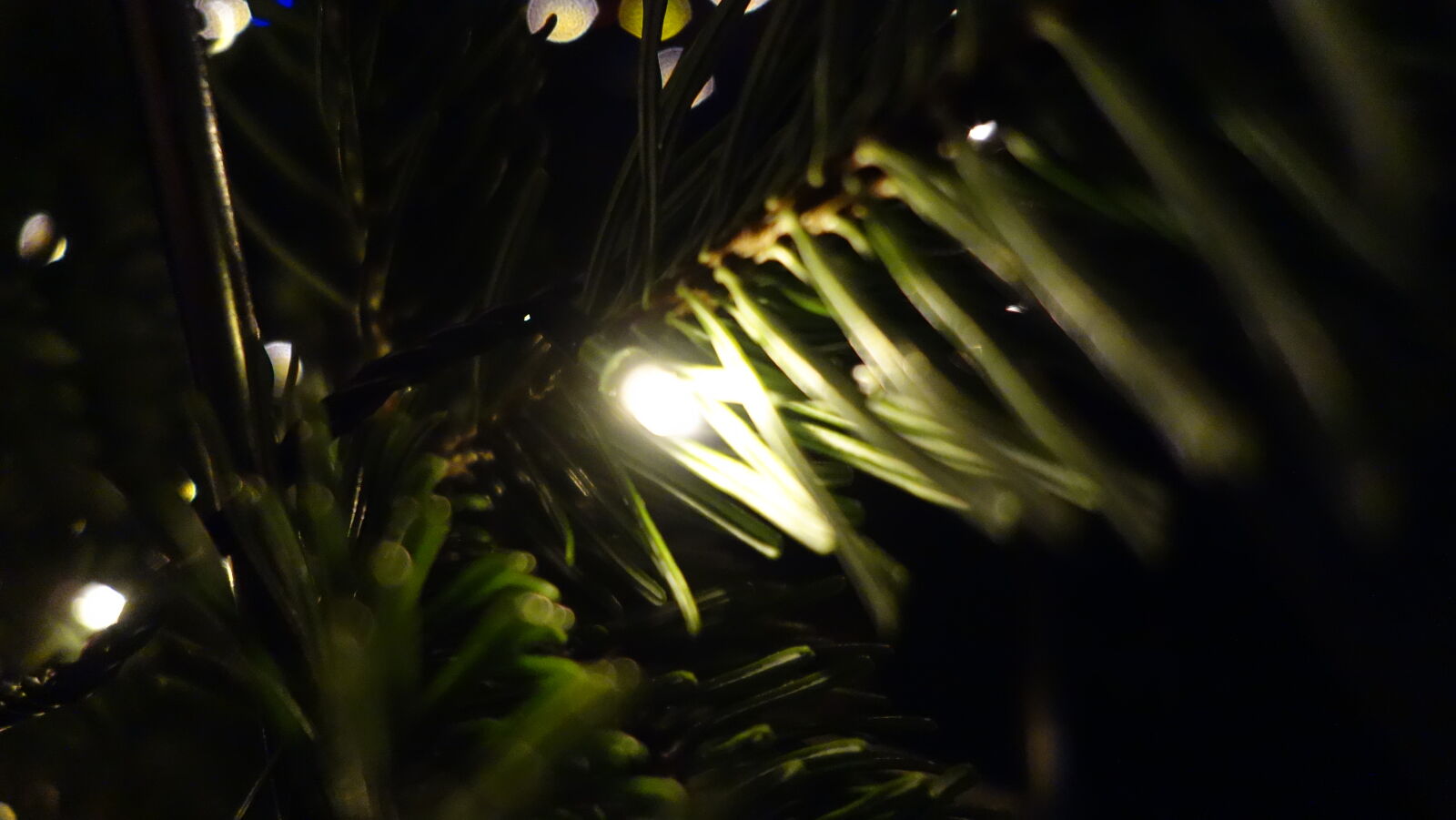 Sony Cyber-shot DSC-RX100 sample photo. Close, up, of, fresh photography