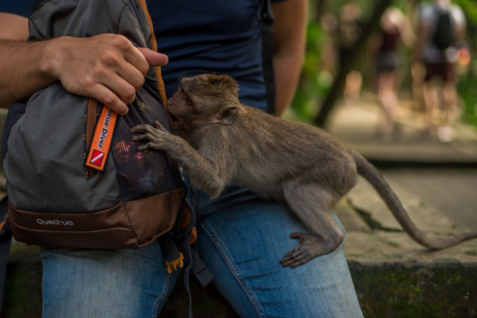 Nikon D750 sample photo. Indonesia, bali, park photography