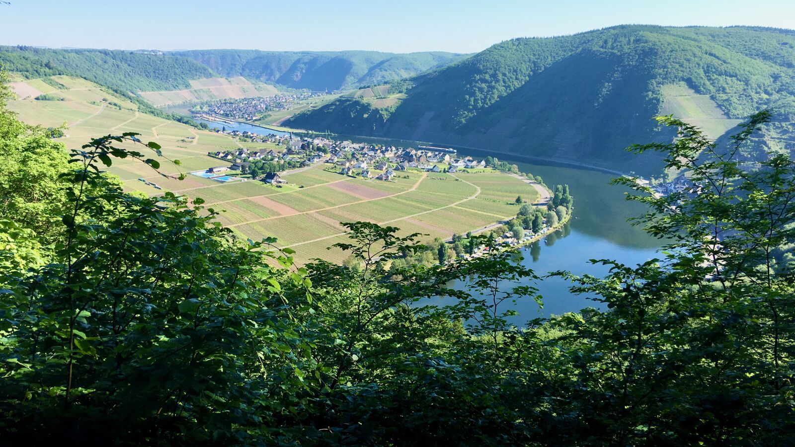 iPhone SE back camera 4.15mm f/2.2 sample photo. Mosel, germany, landscape photography