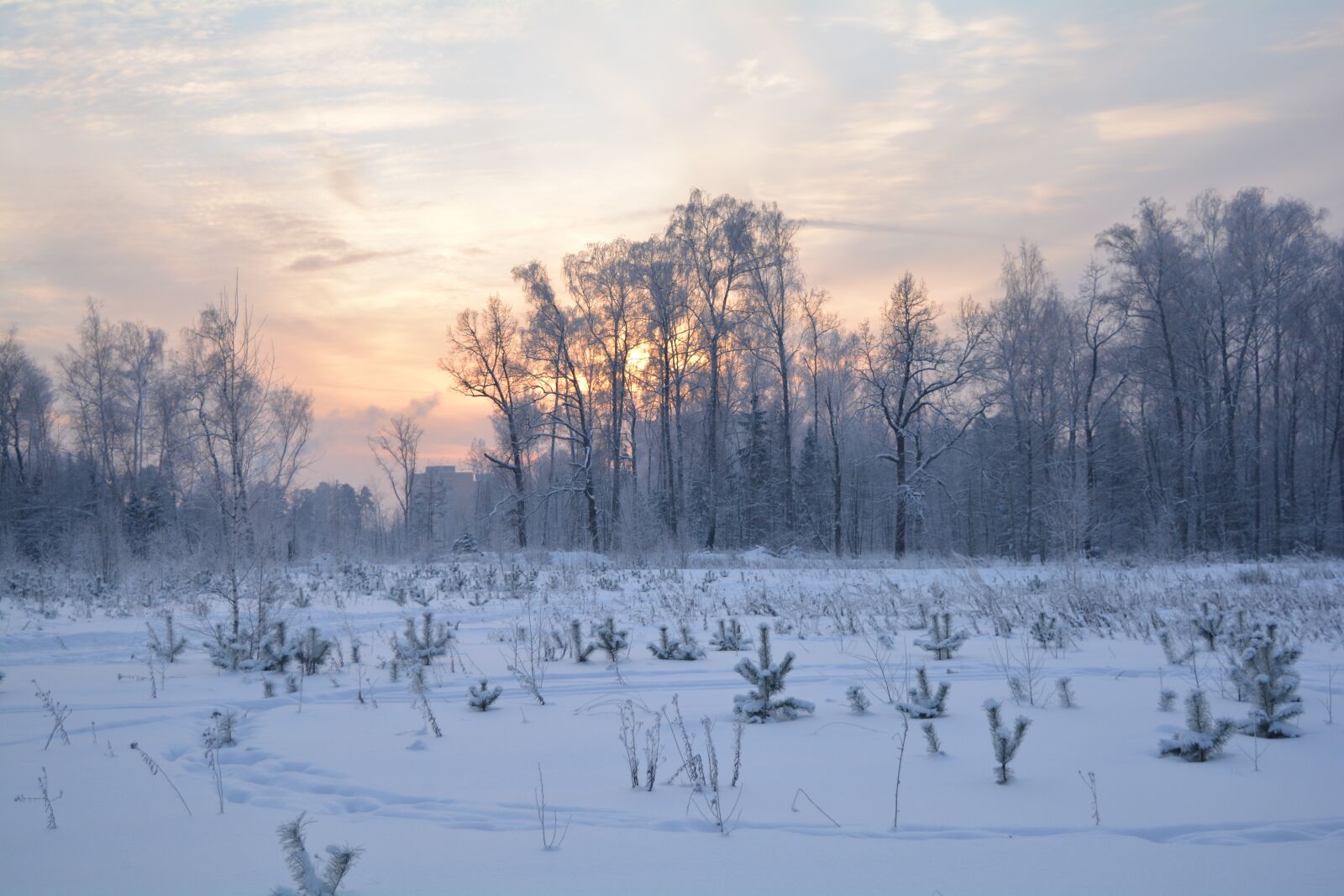 Nikon D5200 sample photo. Winter, nature, landscape photography