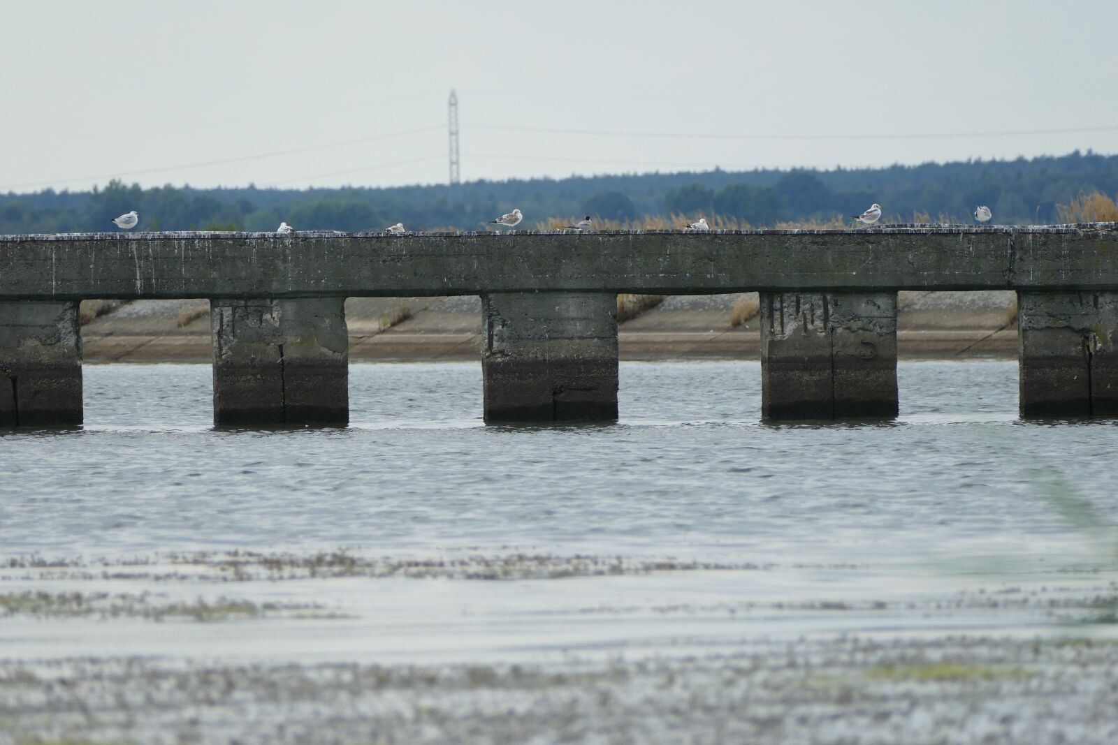 Panasonic Lumix DMC-FZ1000 sample photo. Bridge, lagoon, way photography