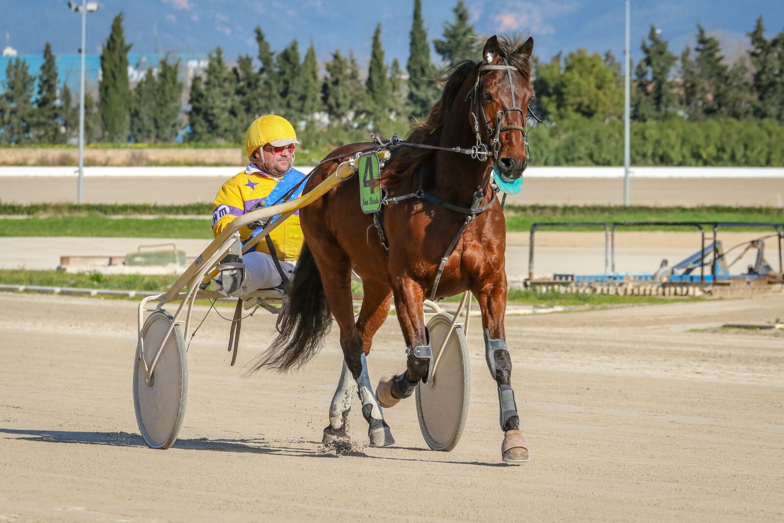 Canon EOS 7D Mark II sample photo. Horses, racing, trot photography