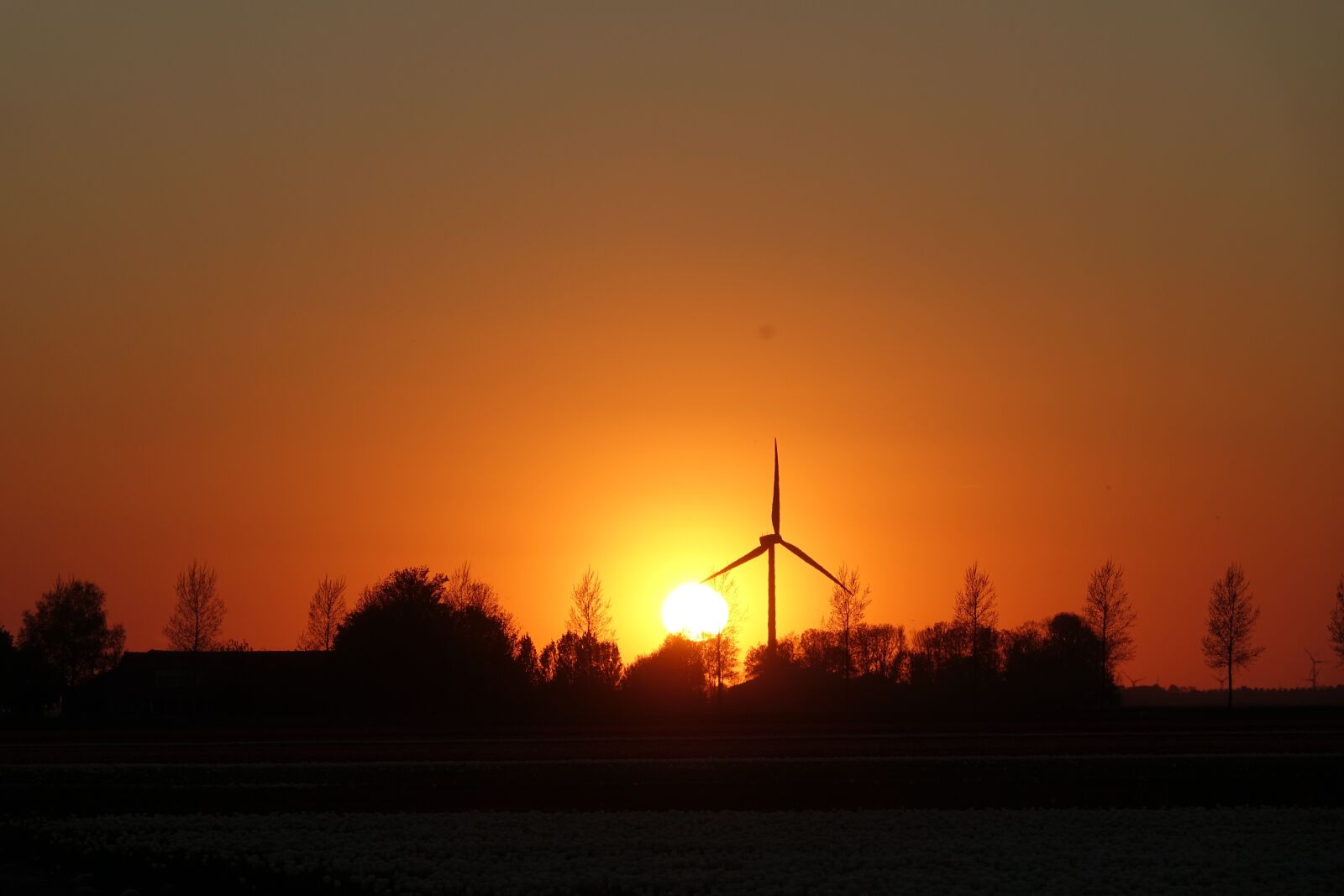 Sony Cyber-shot DSC-RX10 III sample photo. Wind mill, sunset, landscape photography