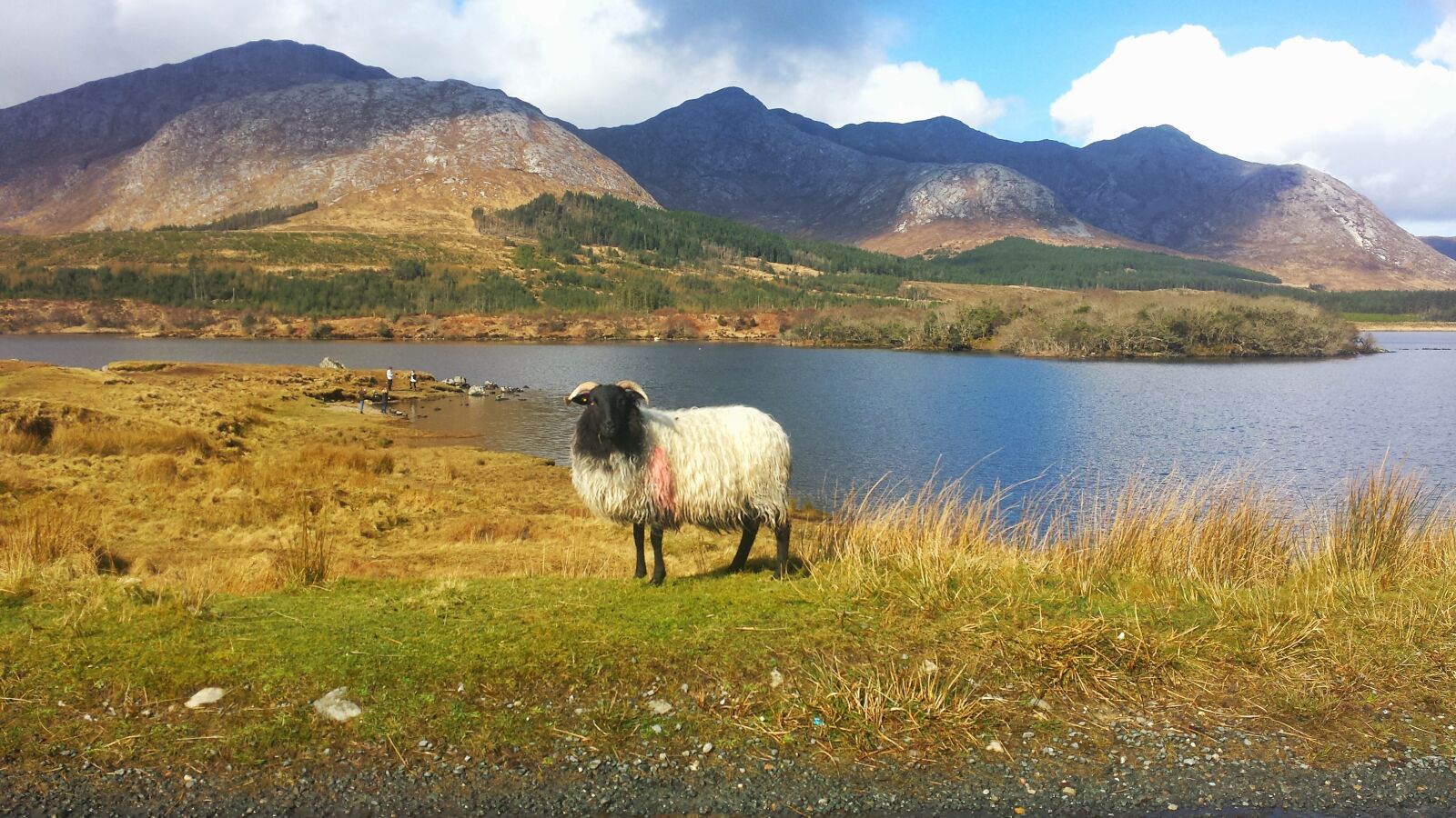 Samsung Galaxy S4 sample photo. Ireland, connemara, europe photography