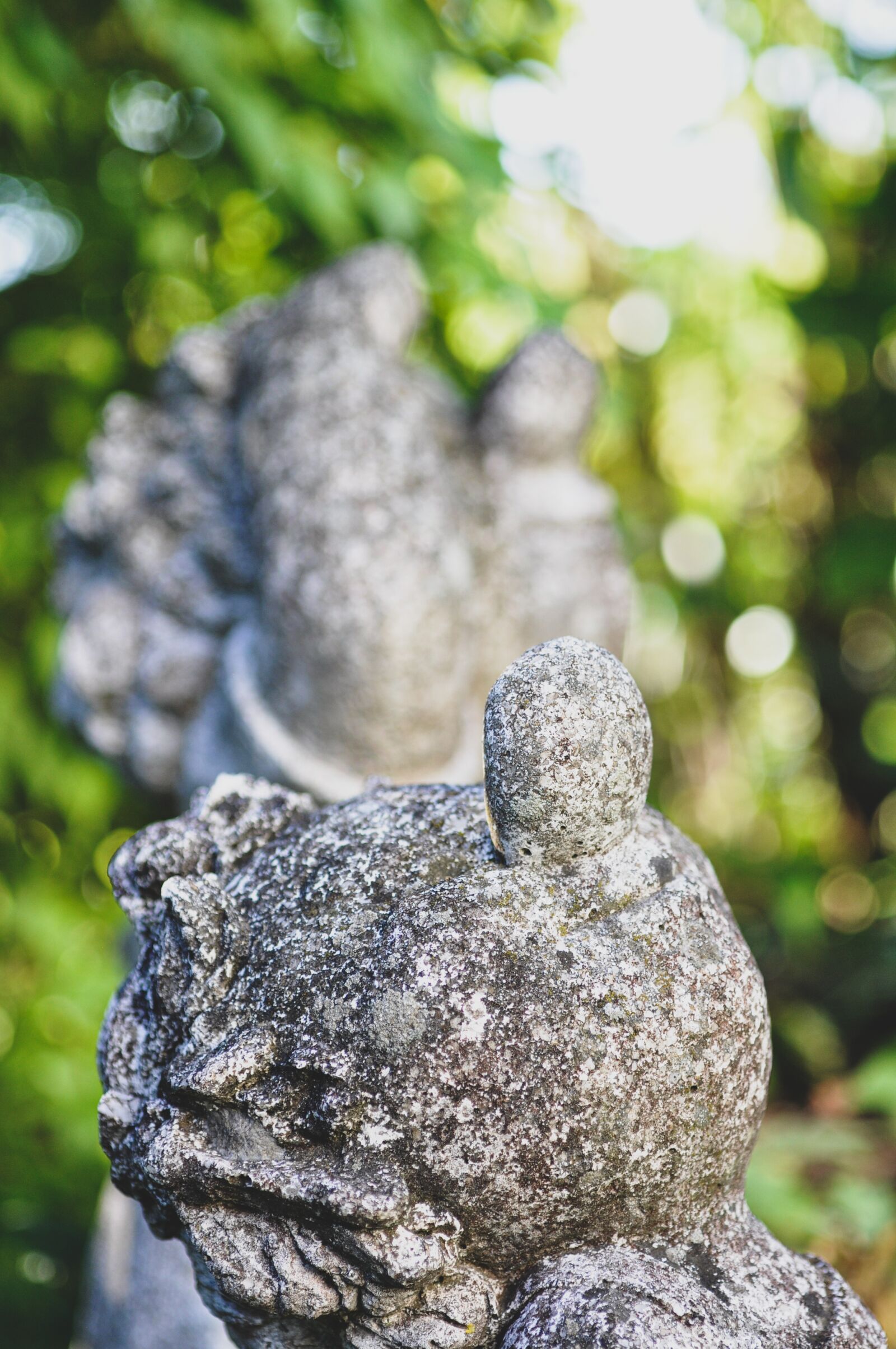 Nikon D90 sample photo. Figure, garden, human photography