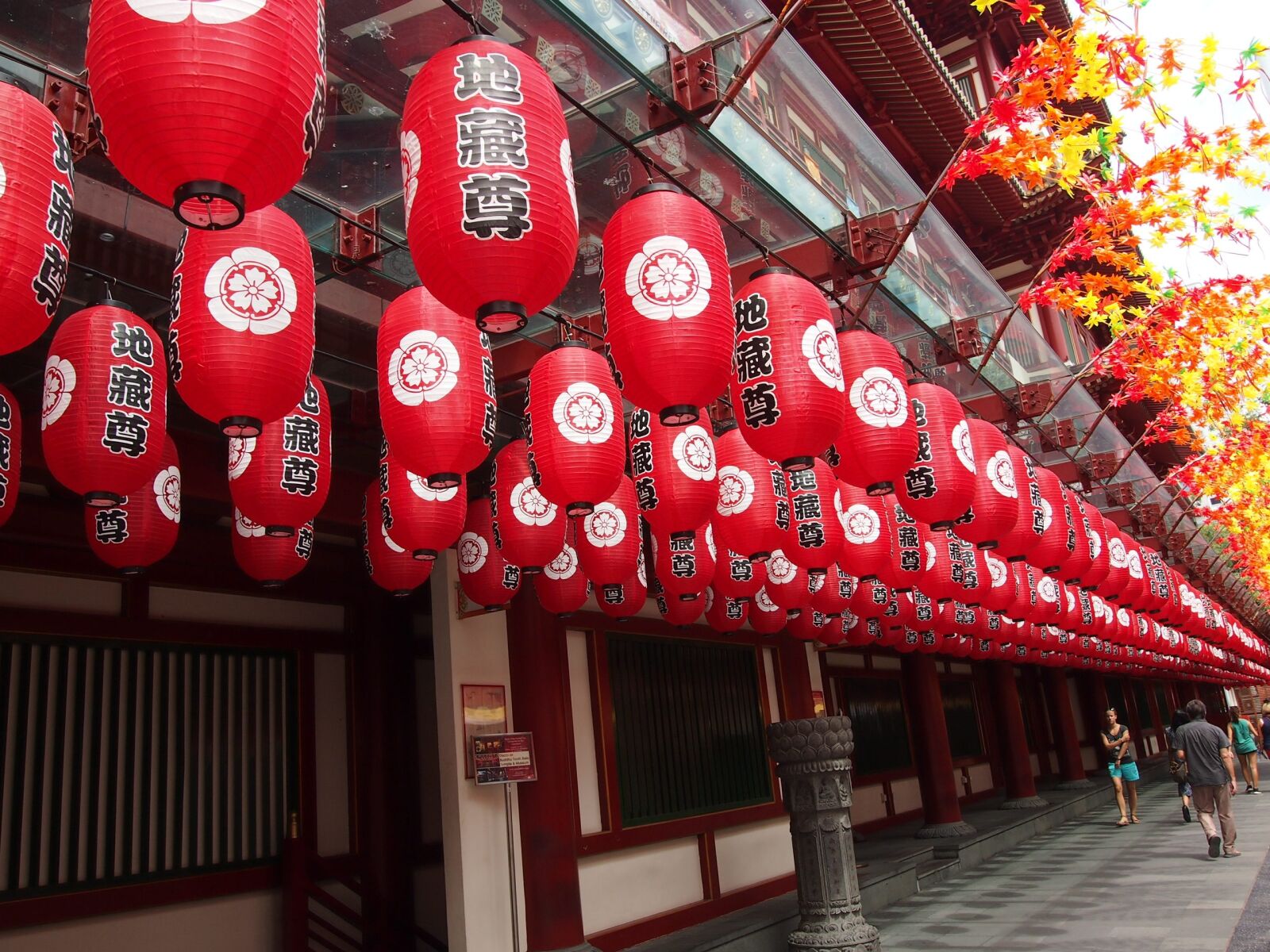 Olympus PEN E-PM1 sample photo. Singapore, paper lantern, edo photography