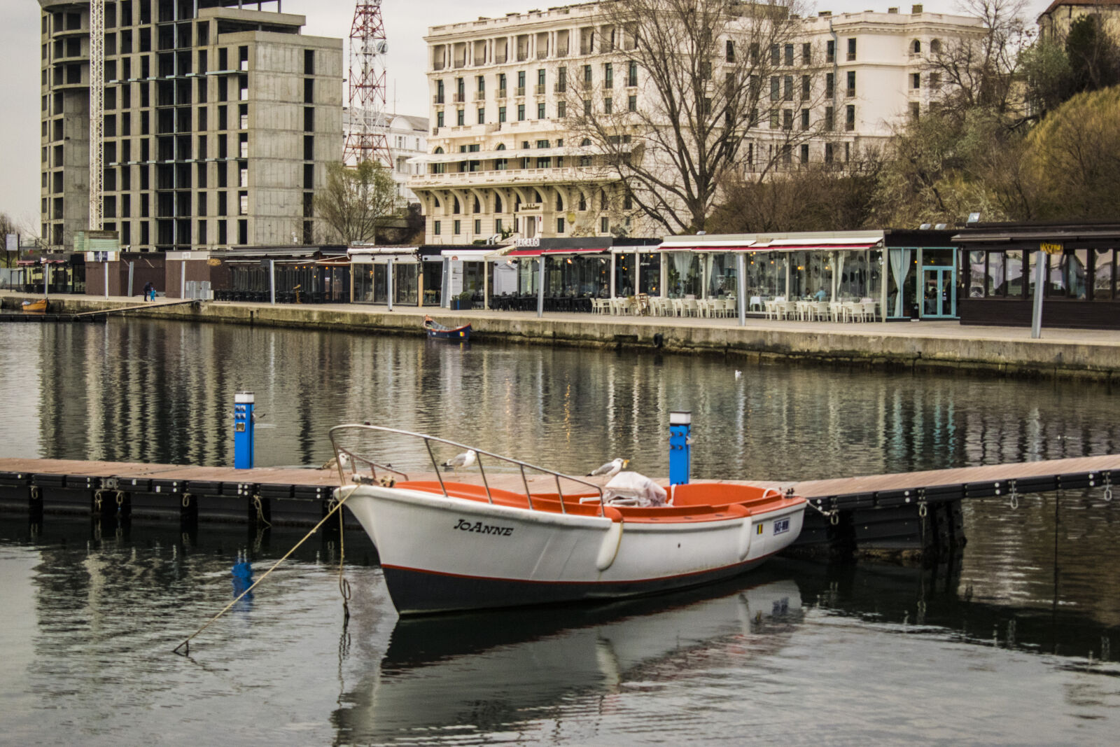 Nikon D3300 sample photo