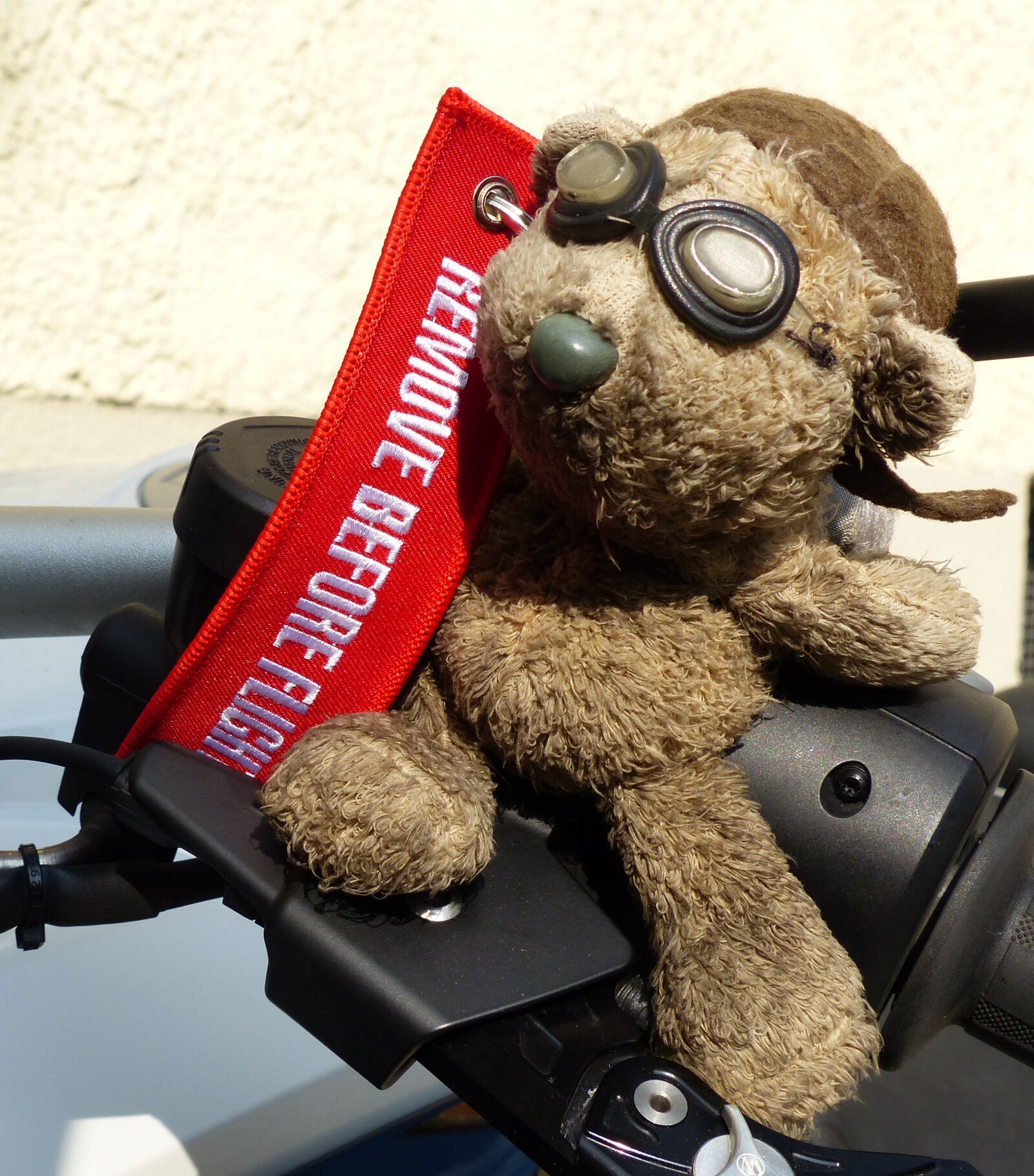 Panasonic Lumix DMC-FZ200 sample photo. Bear, motorcycle, glasses photography