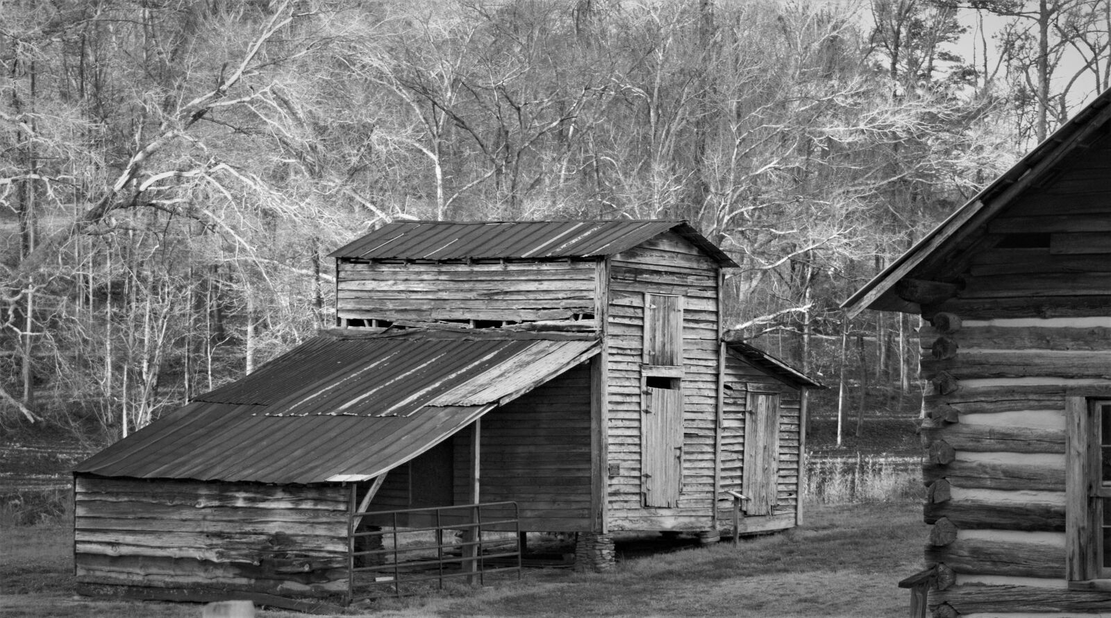 Canon EOS 550D (EOS Rebel T2i / EOS Kiss X4) sample photo. Wood, monochrome, old photography