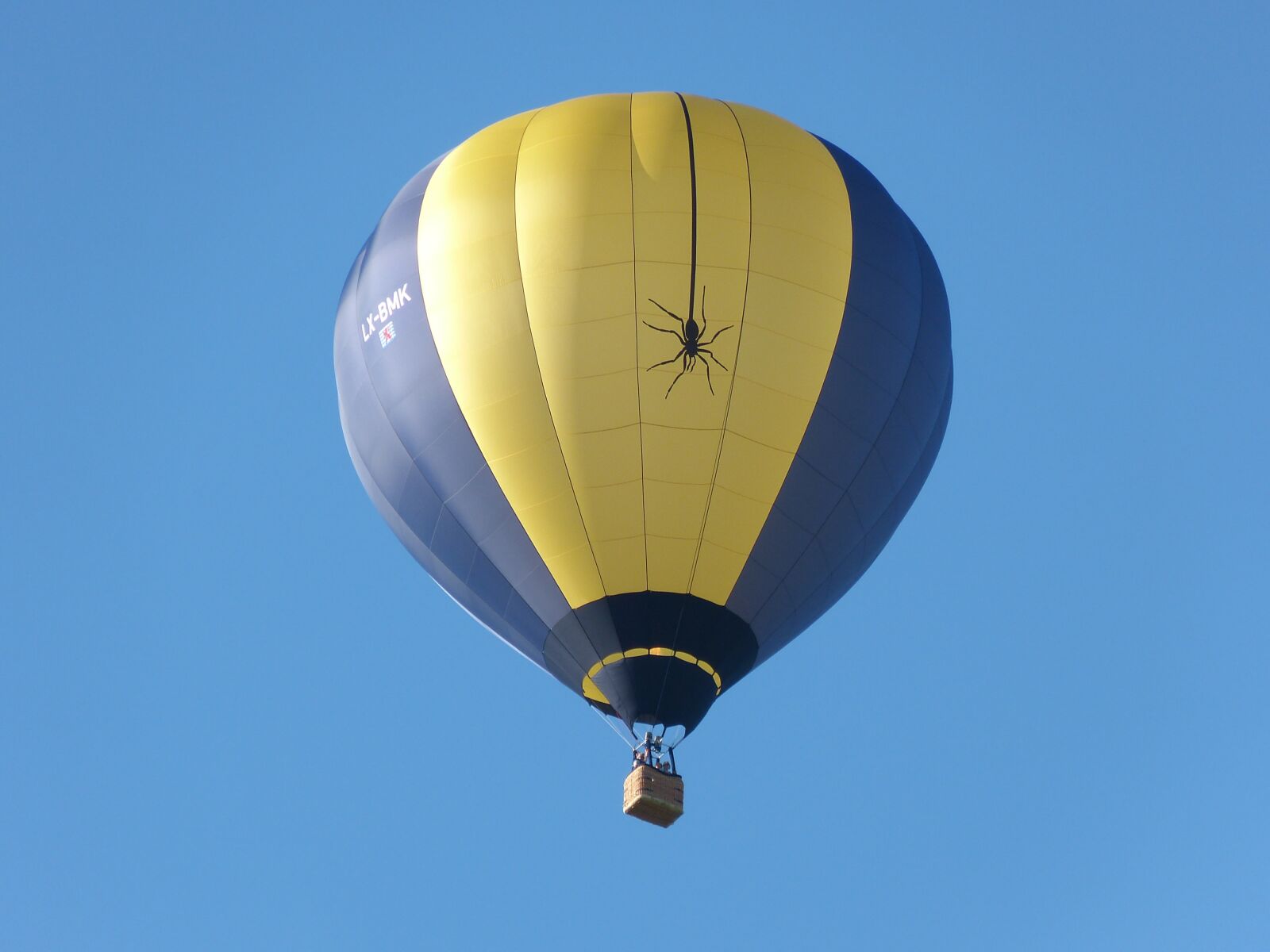Panasonic Lumix DMC-FZ150 sample photo. Hot air balloon, sky photography